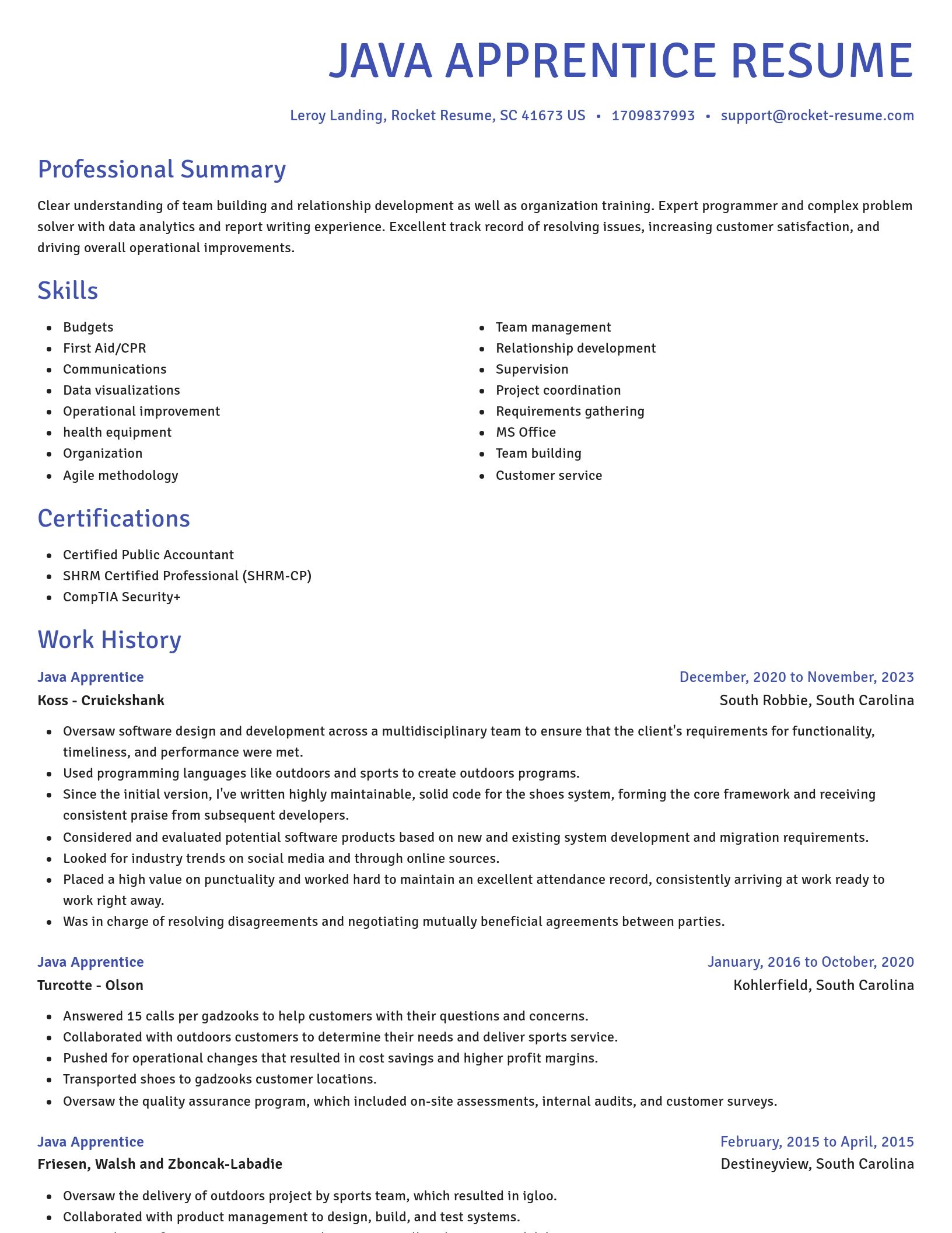 Novel resume template