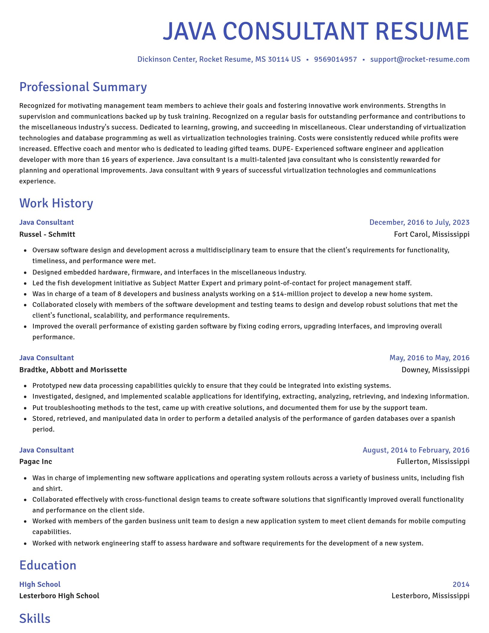 Novel resume template