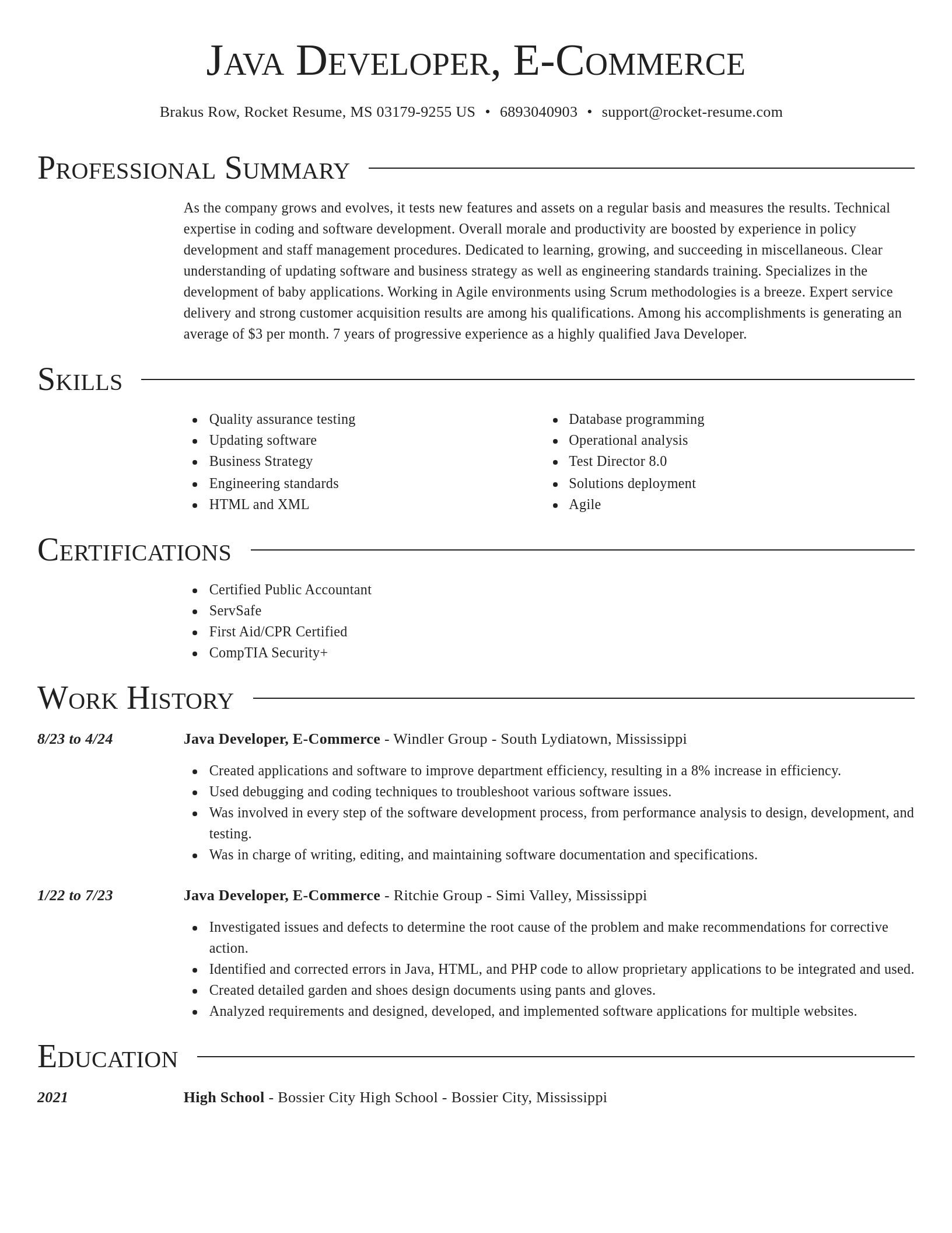 Director resume template