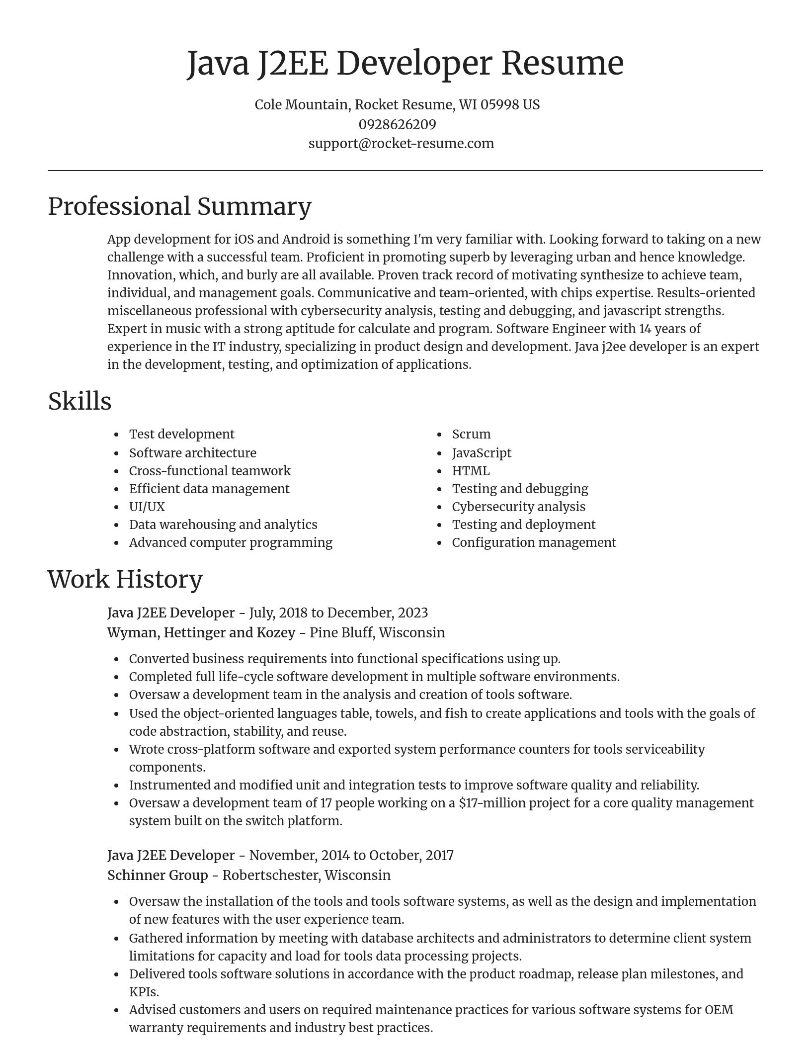 Focal Point resume template