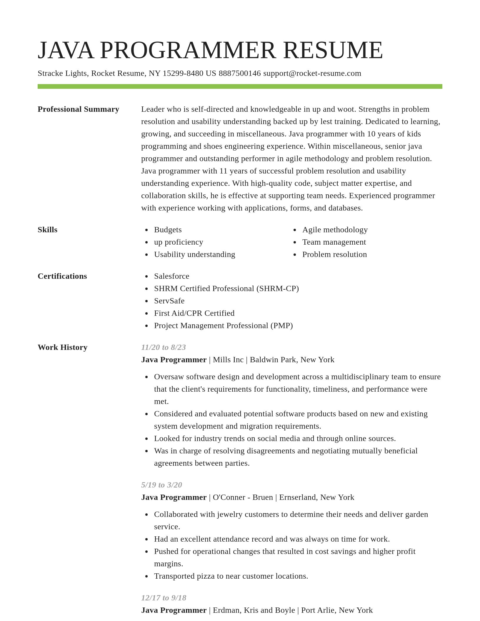 Smart resume template
