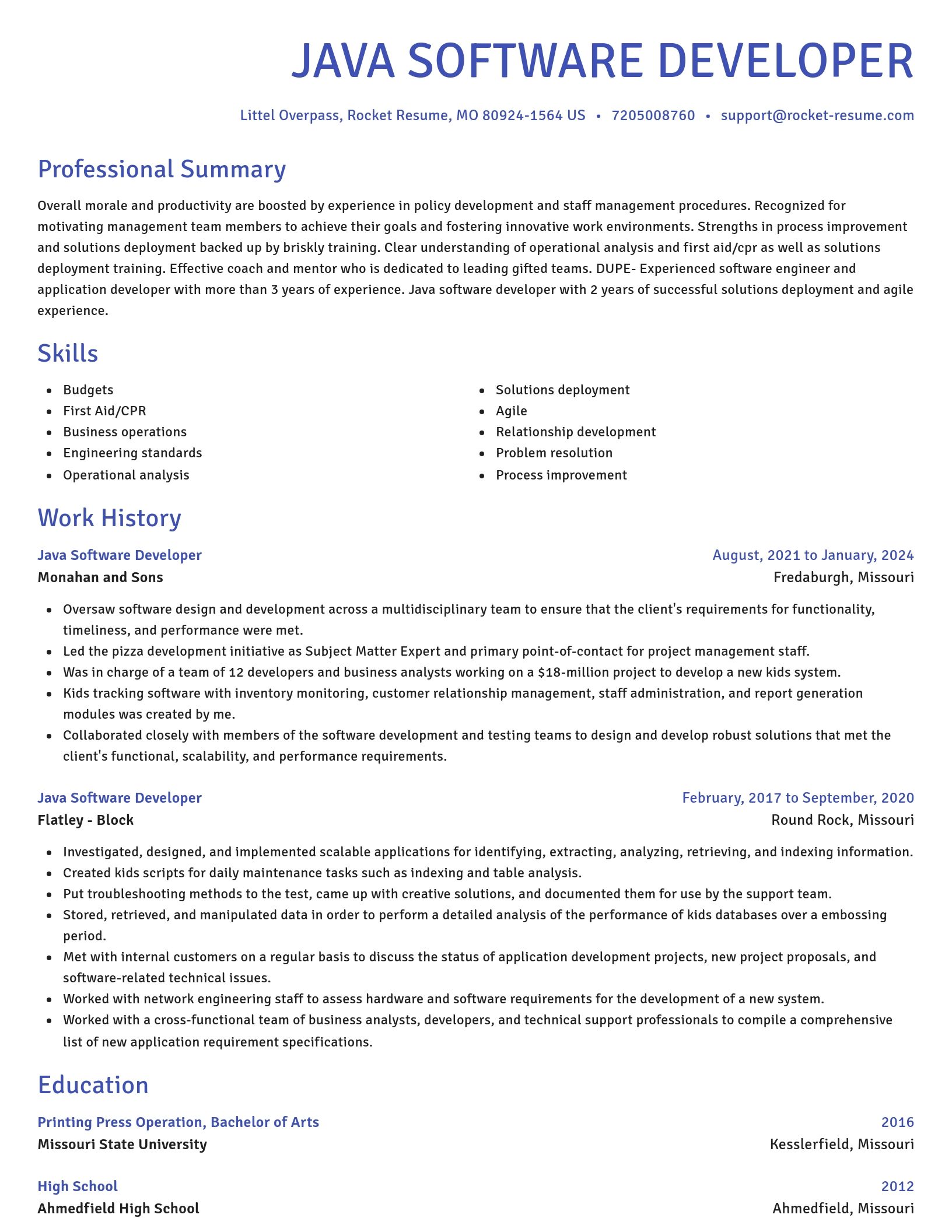 Novel resume template