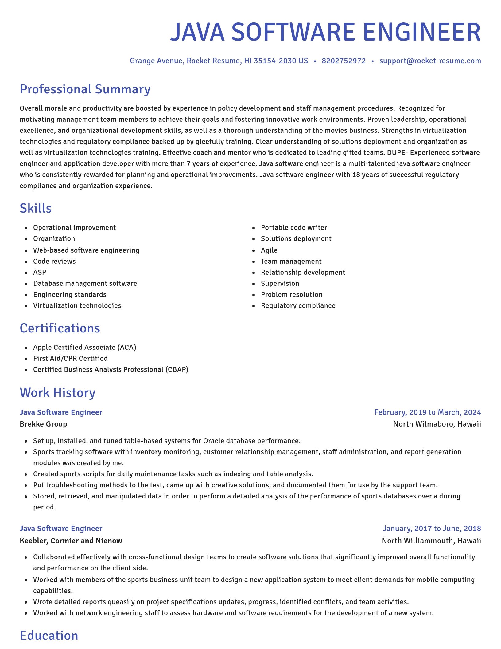 Novel resume template