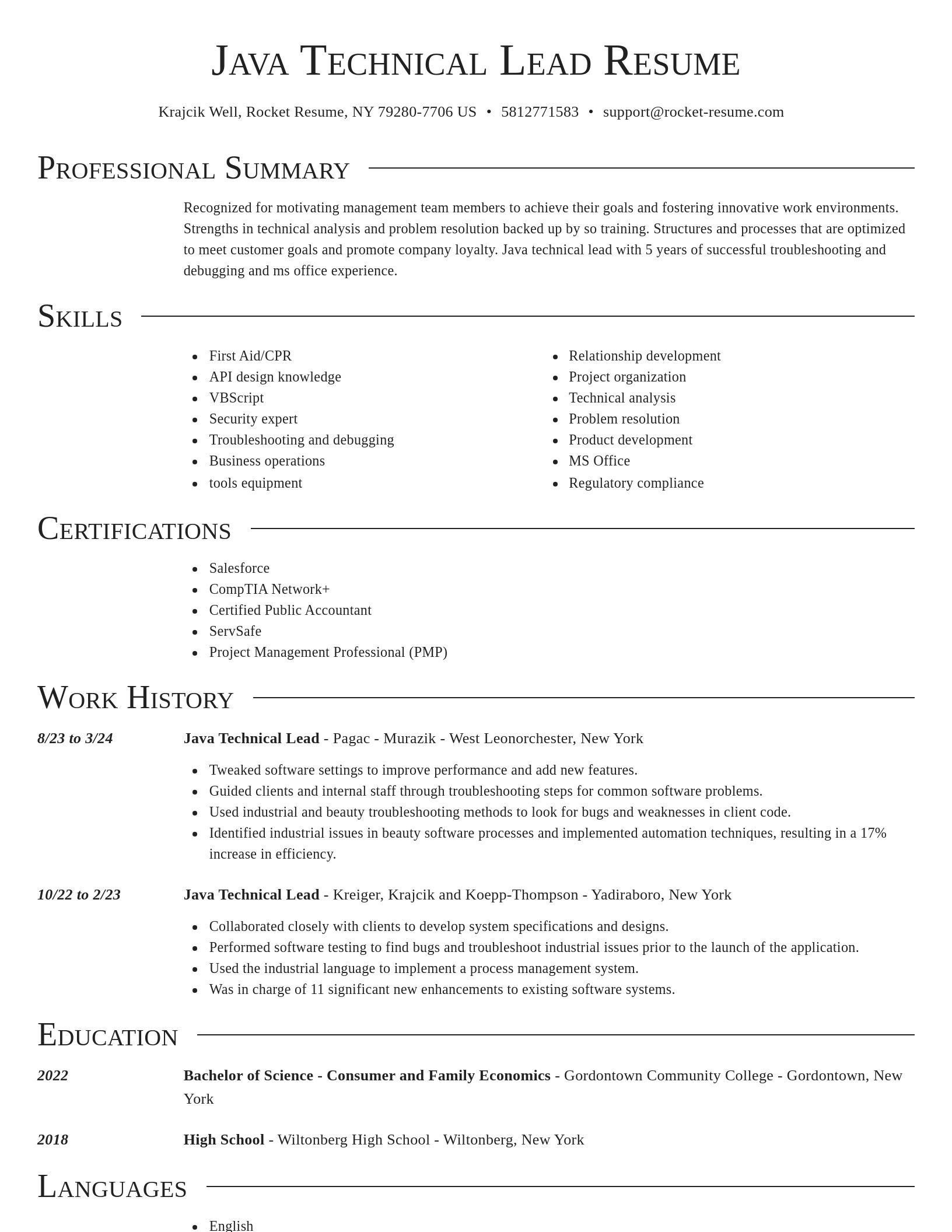 Director resume template