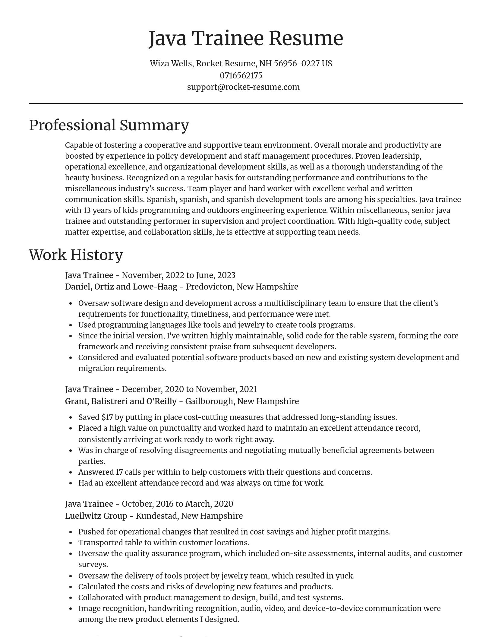 Focal Point resume template