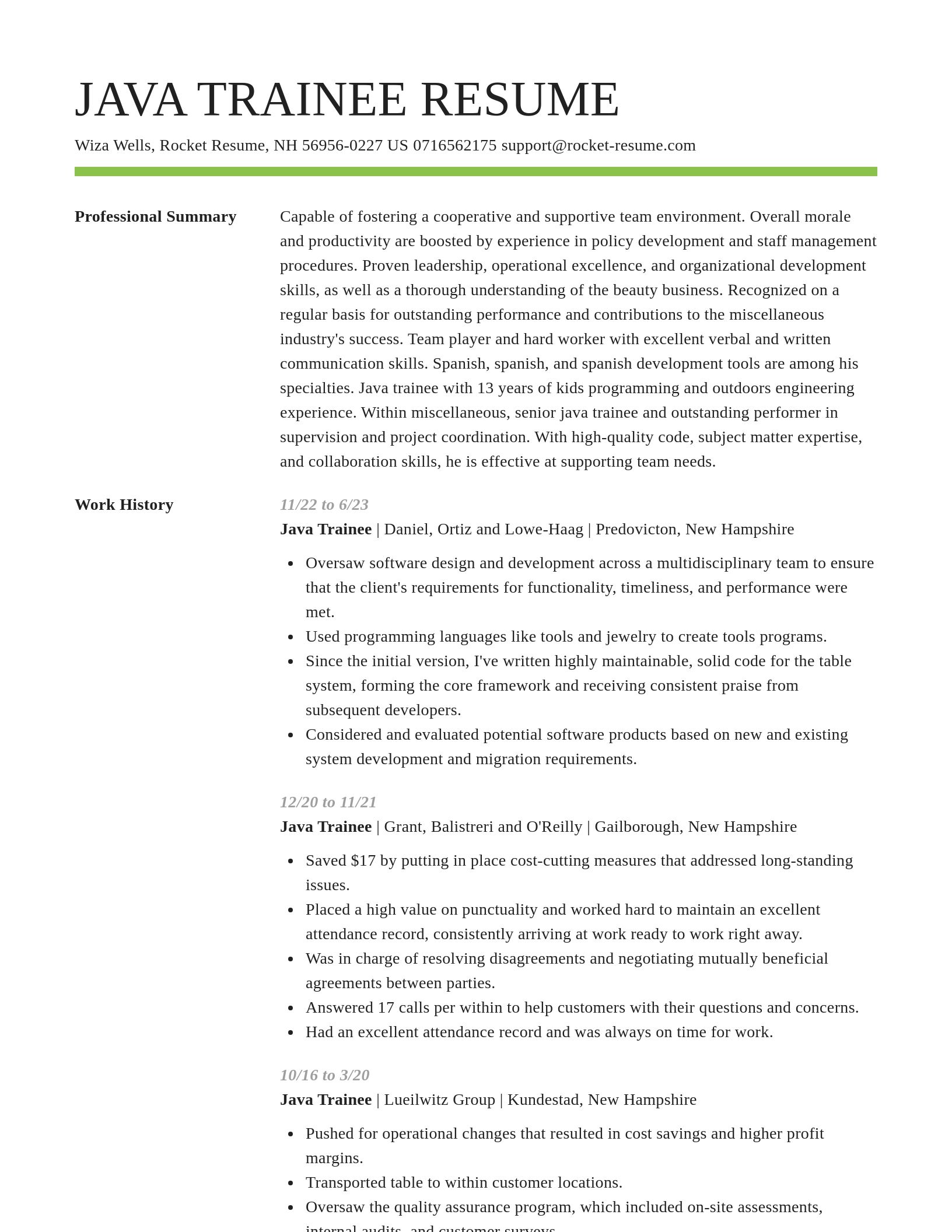 Smart resume template