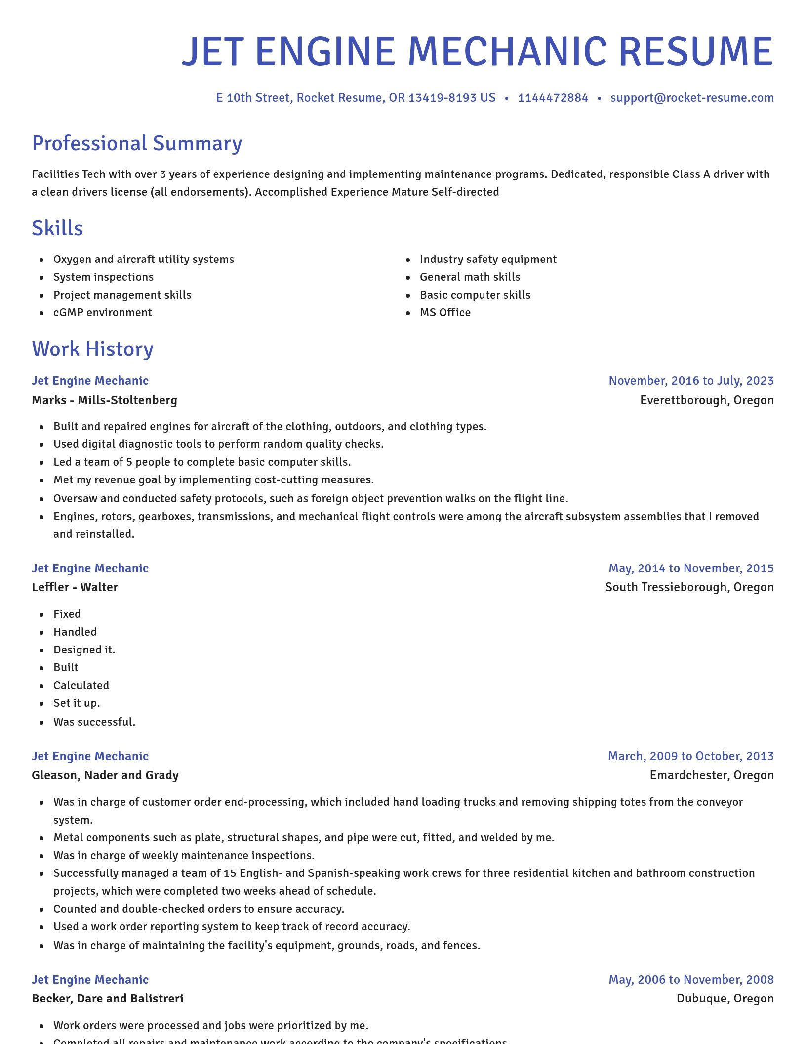 Novel resume template