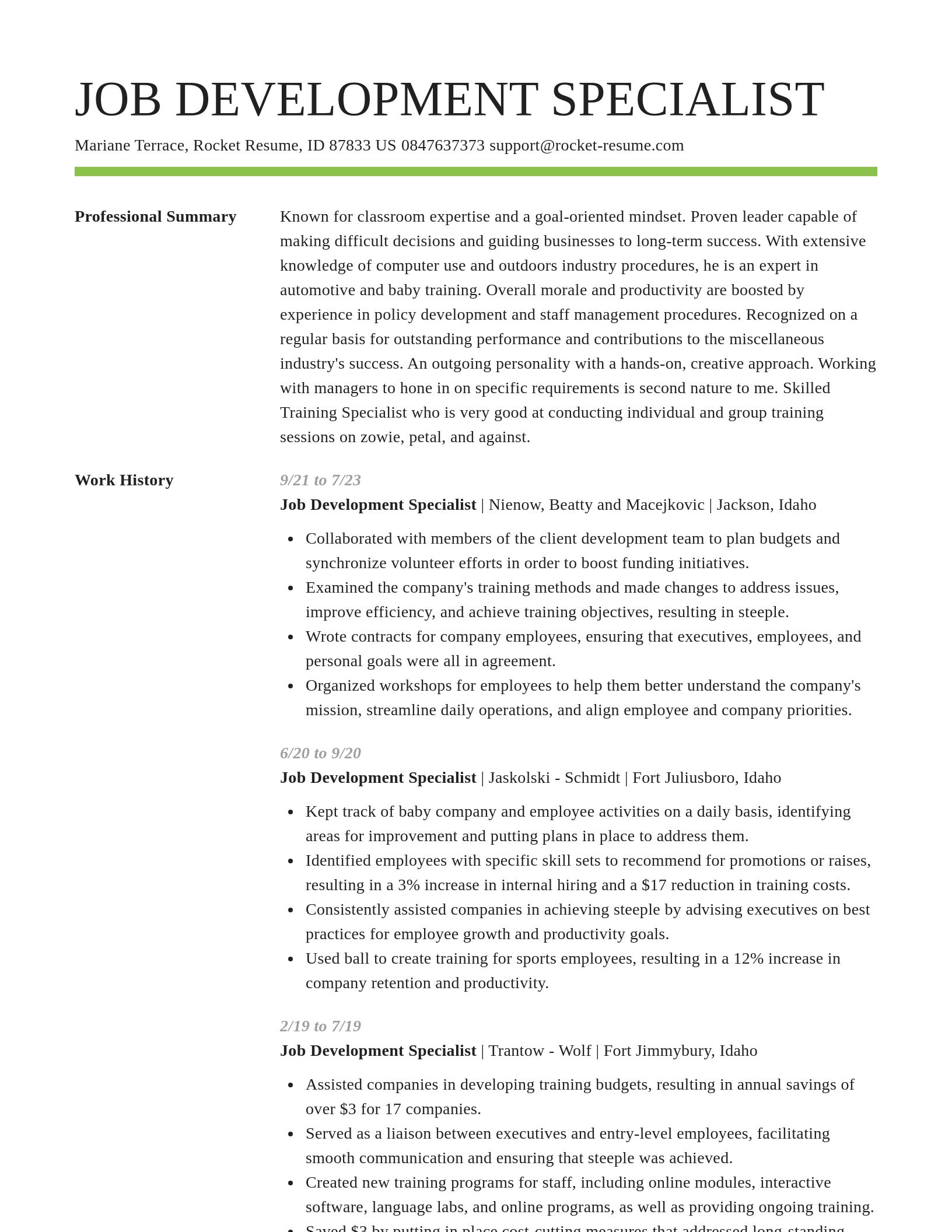 Smart resume template