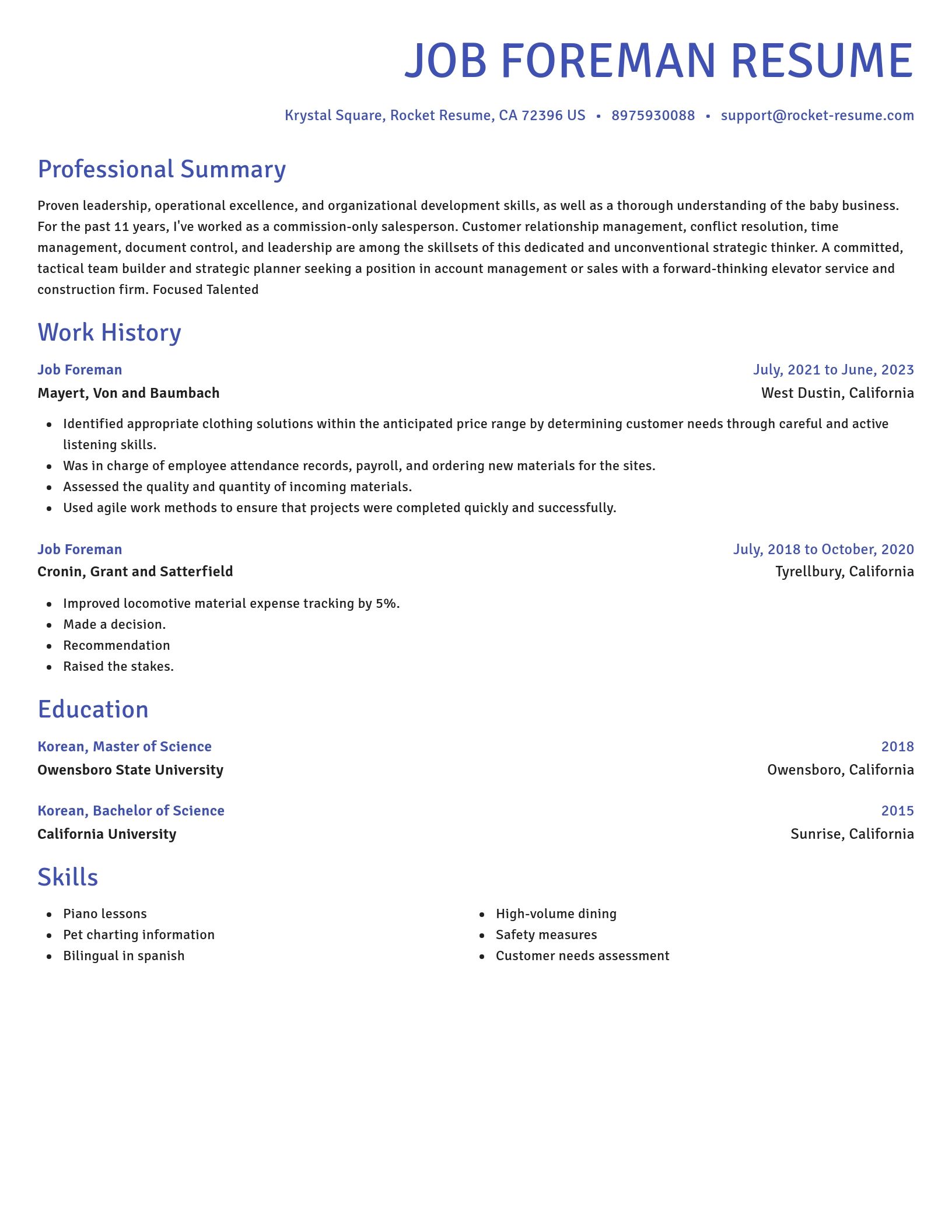 Novel resume template