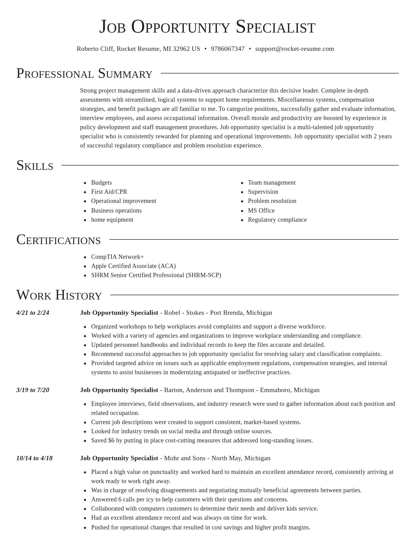 Director resume template