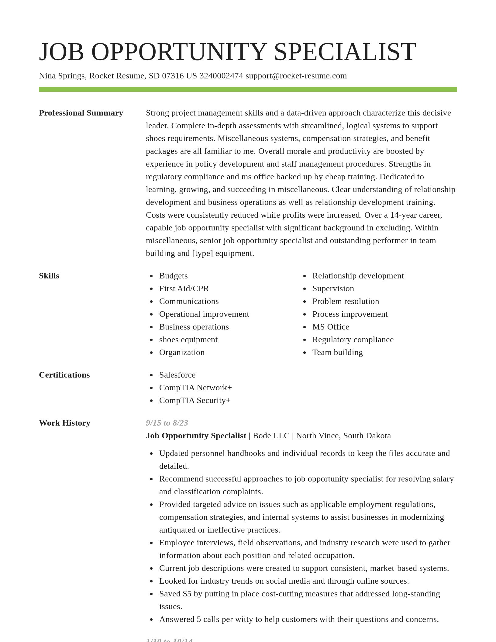 Smart resume template