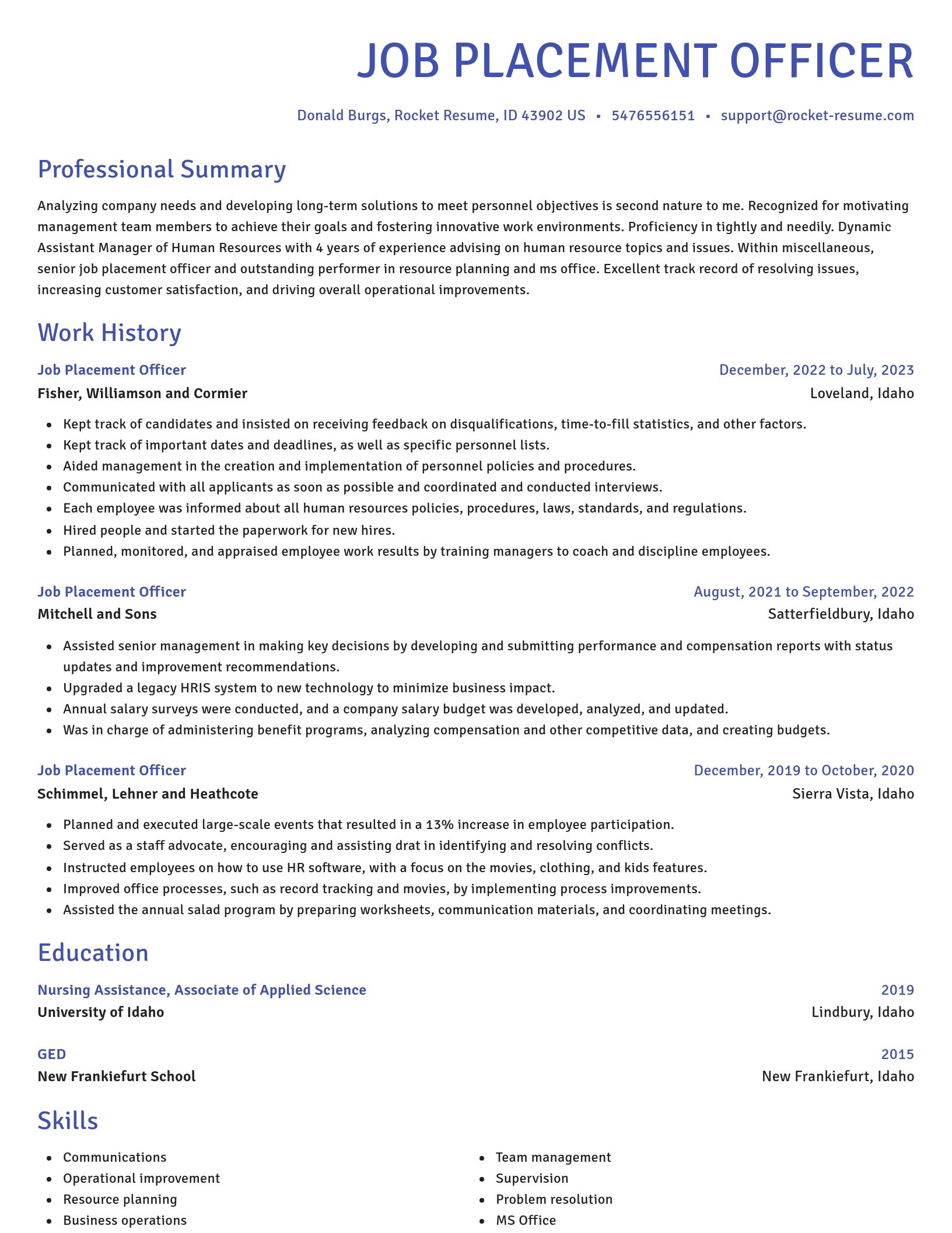 Novel resume template