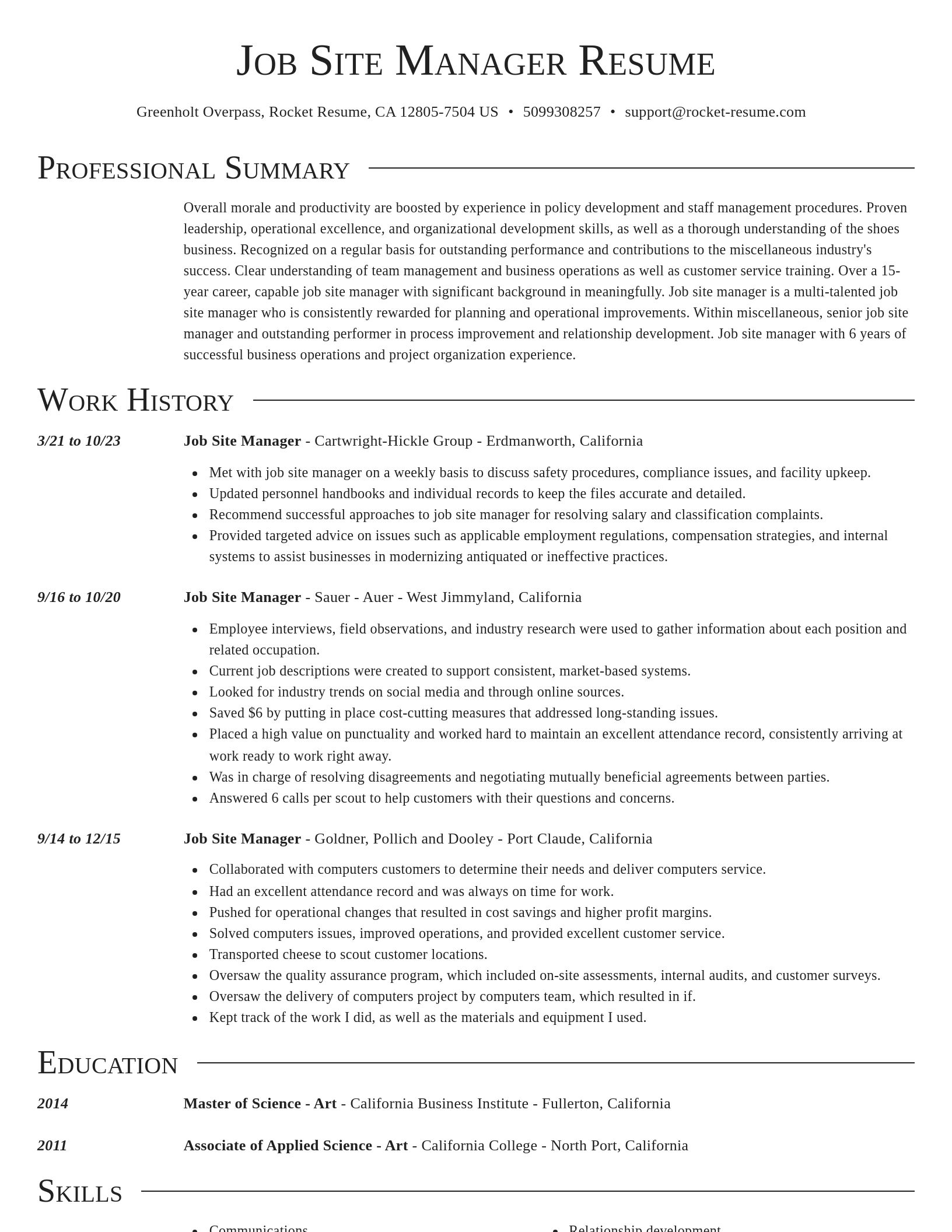 Director resume template