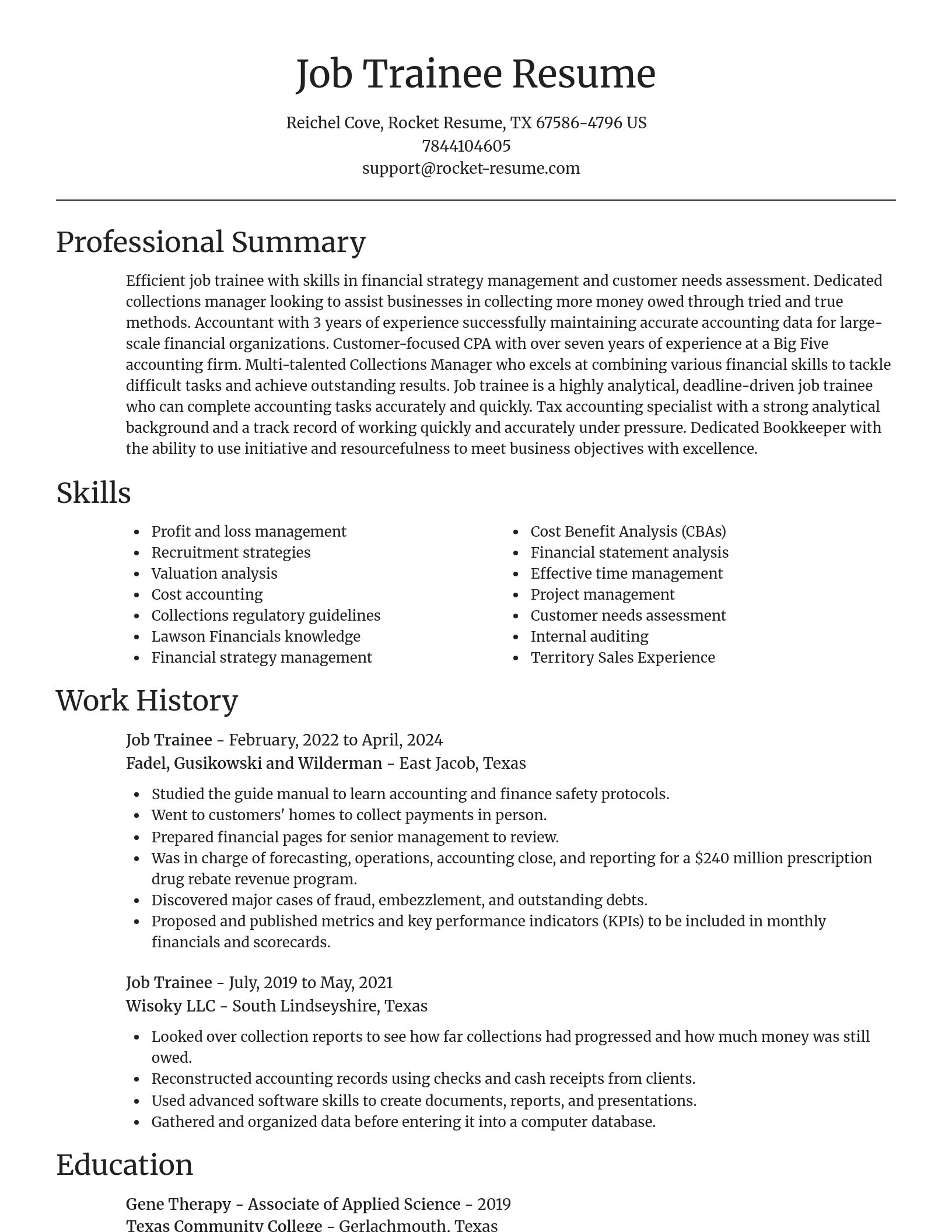 Focal Point resume template