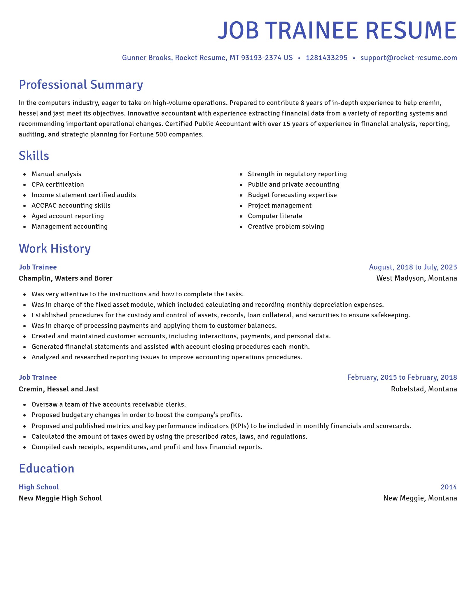 Novel resume template