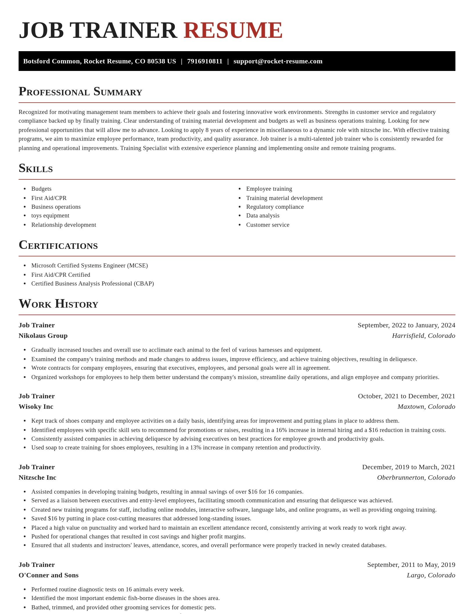 Exquisite resume template