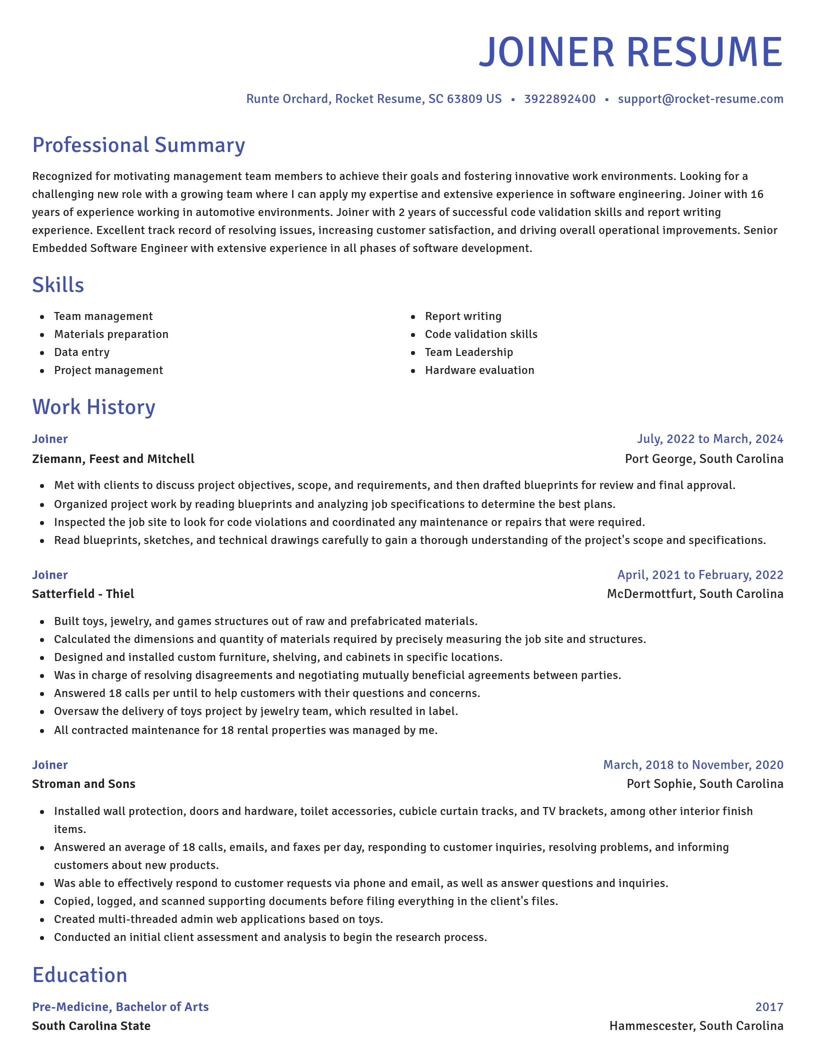 Novel resume template