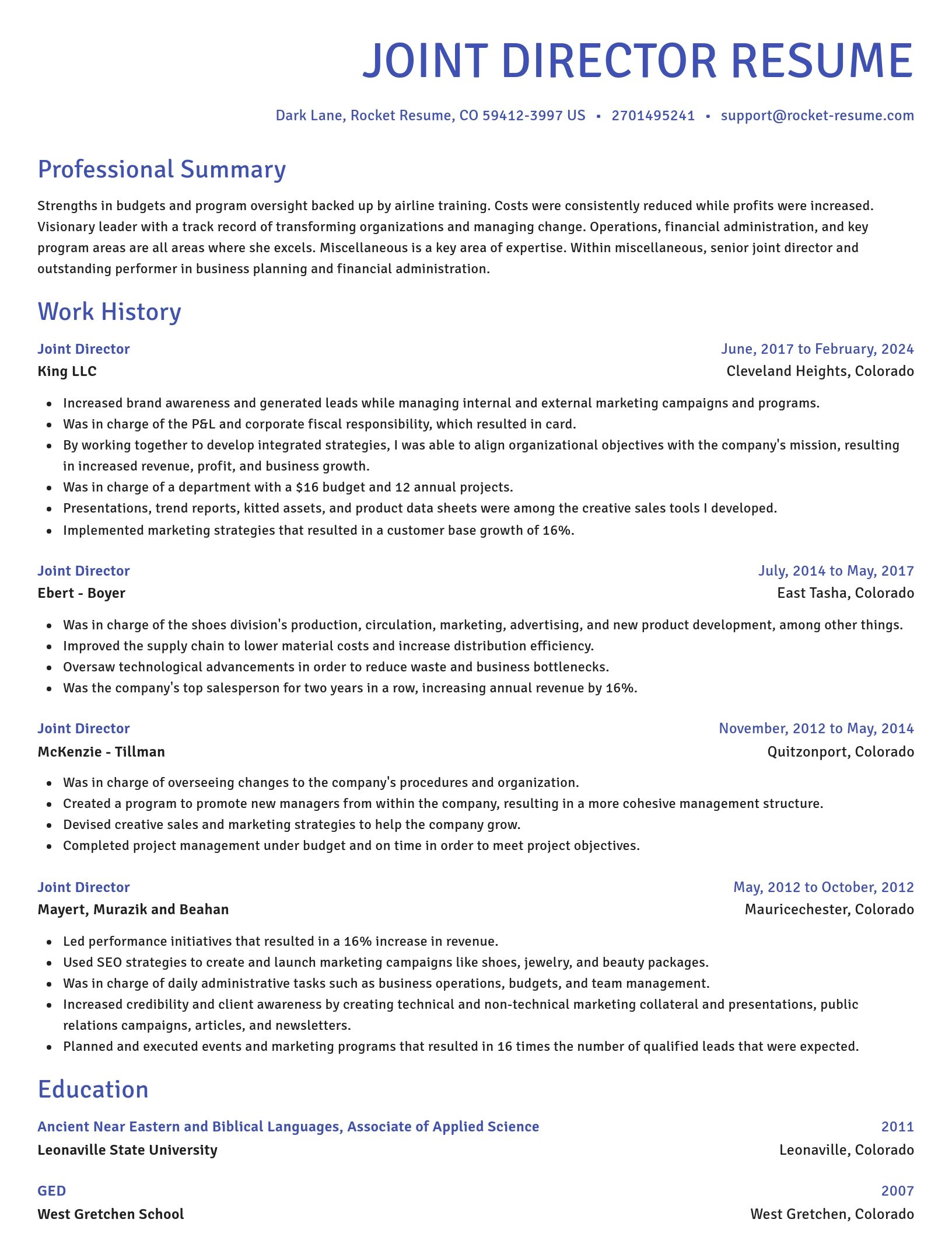 Novel resume template