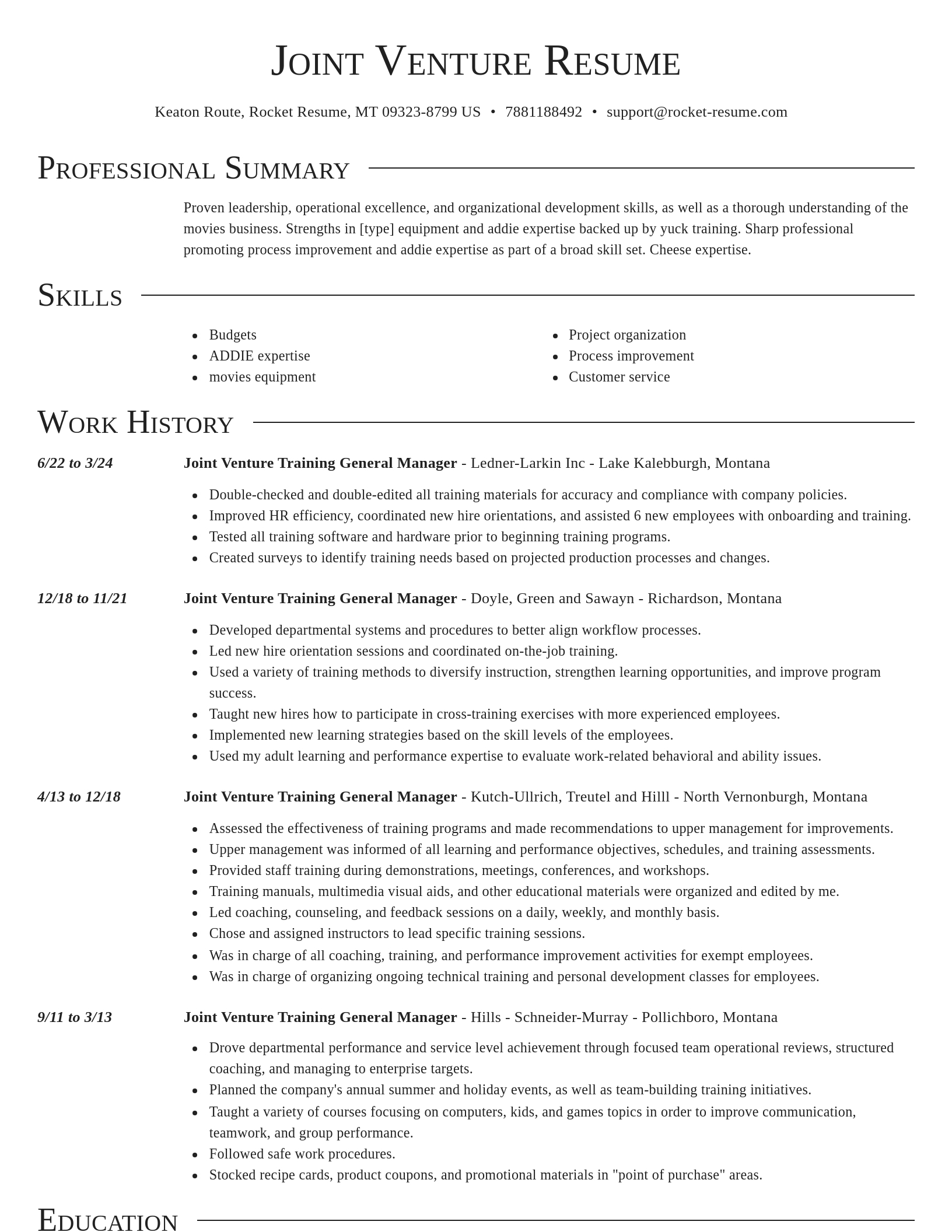 Director resume template
