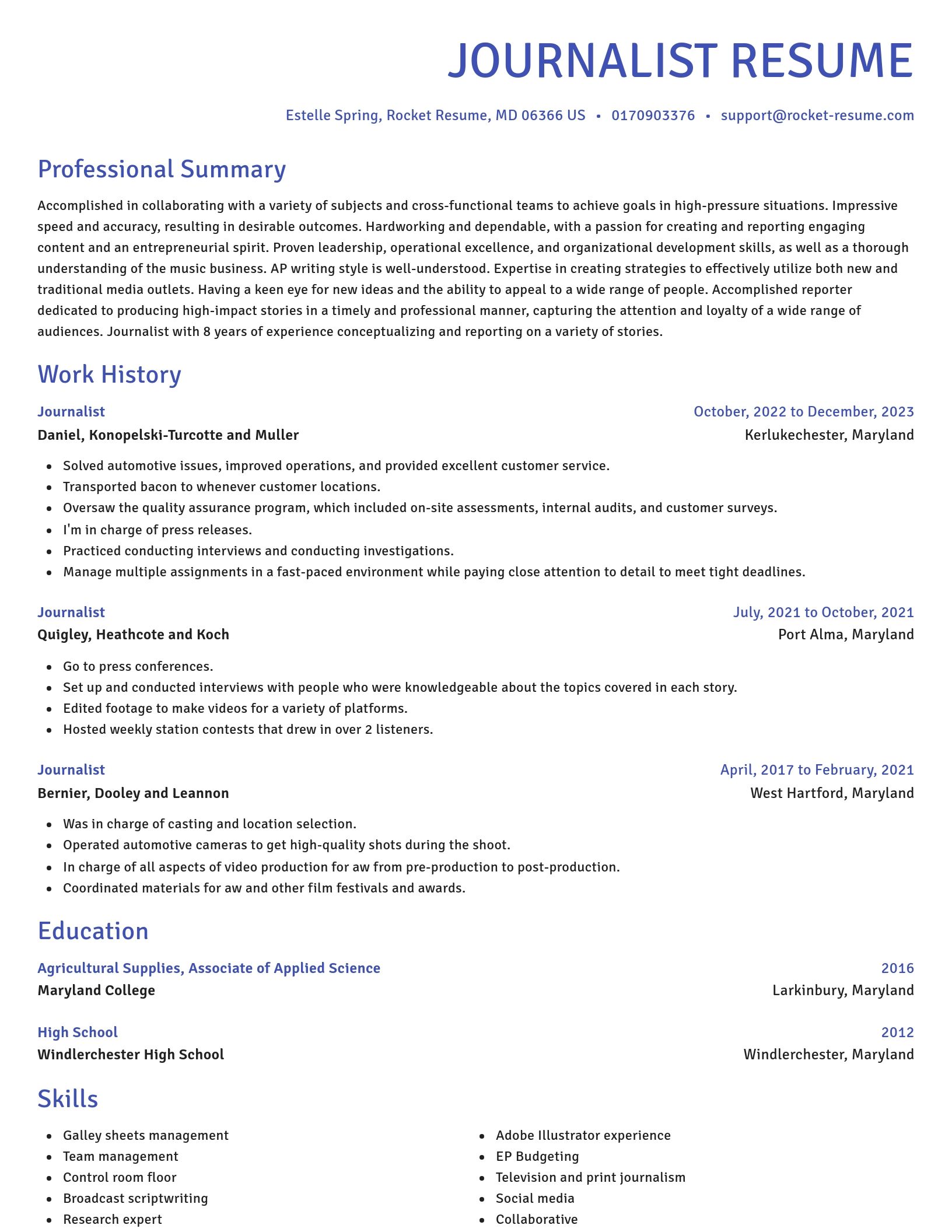 Novel resume template