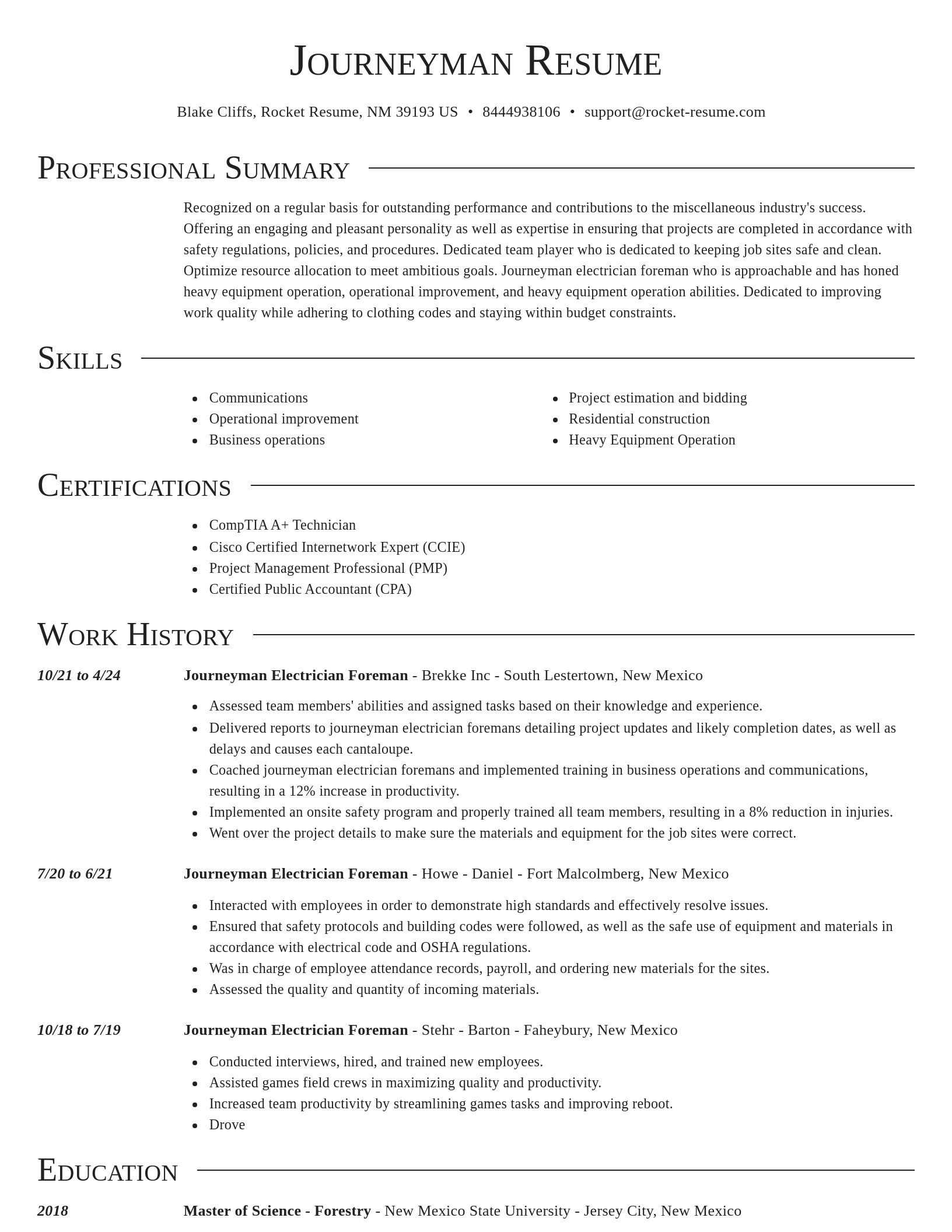 Director resume template