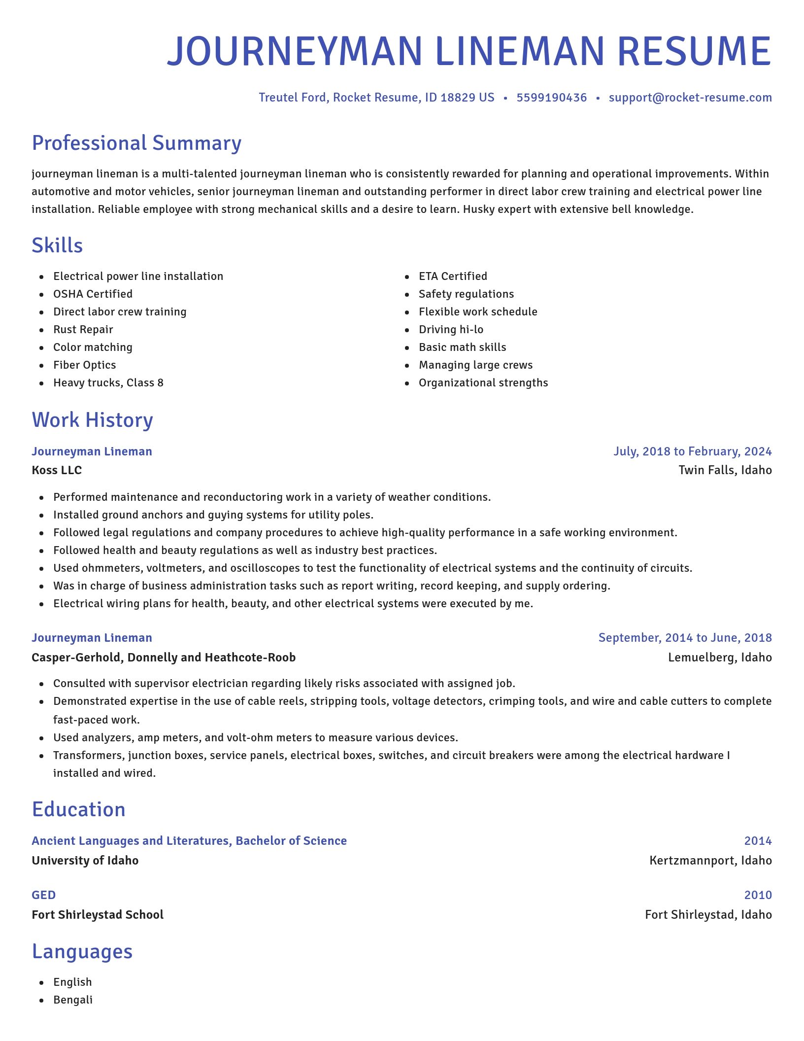 Novel resume template
