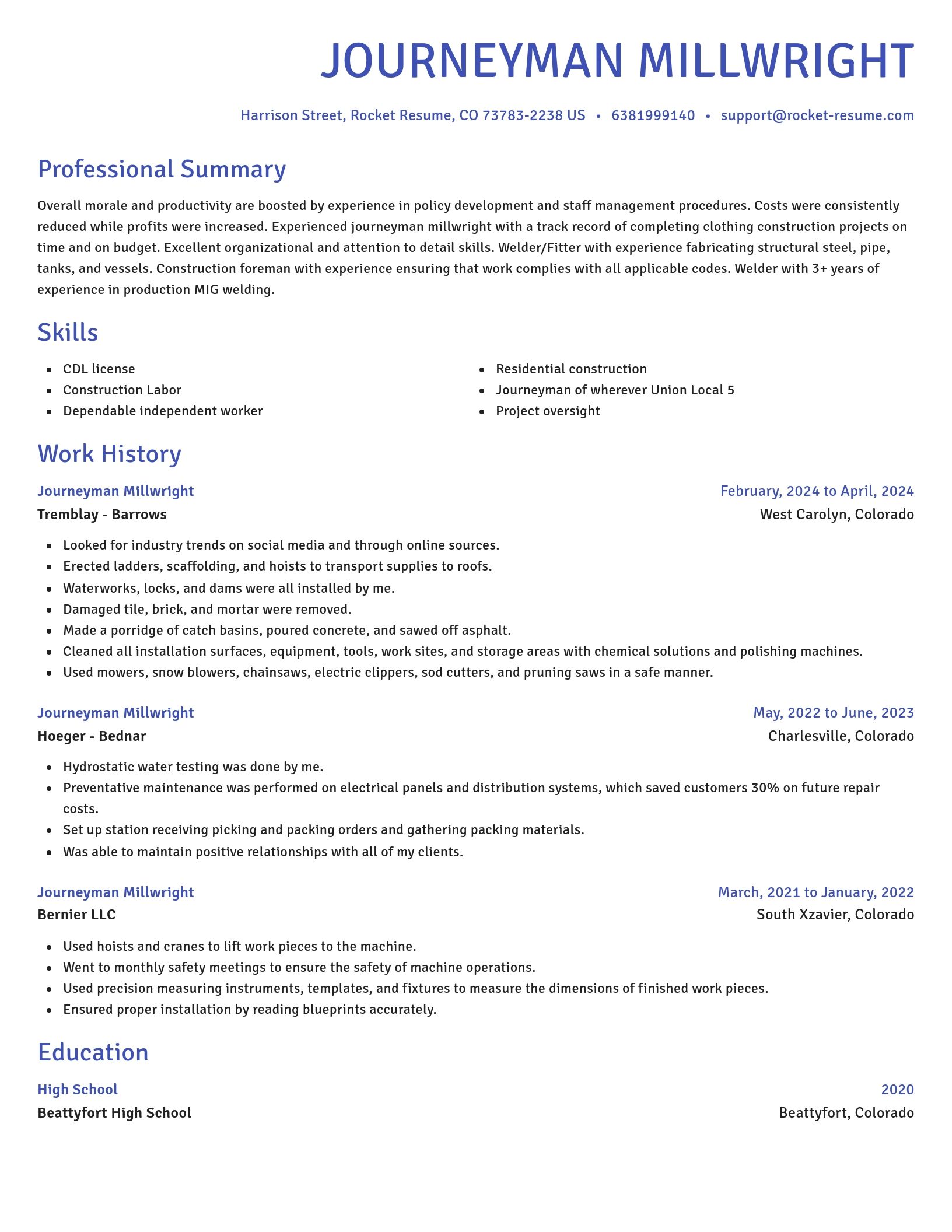 Novel resume template