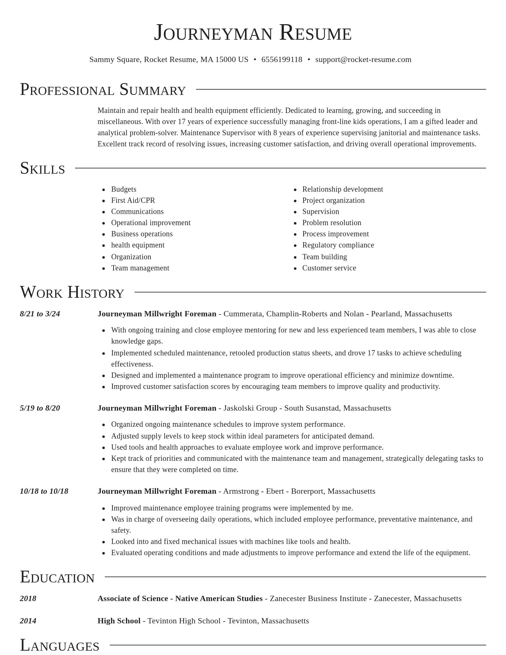 Director resume template