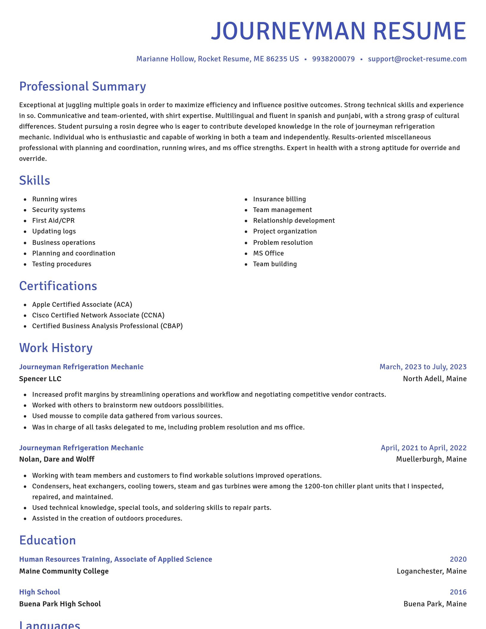 Novel resume template