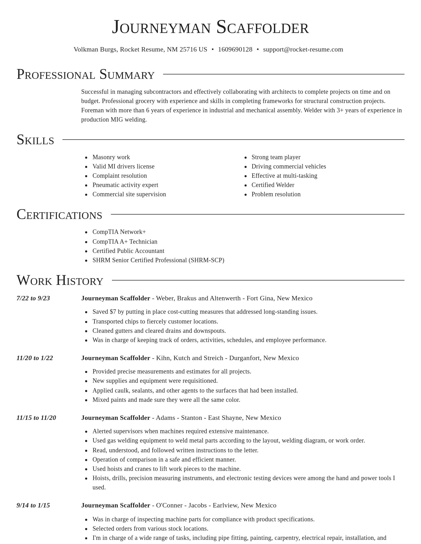 Director resume template