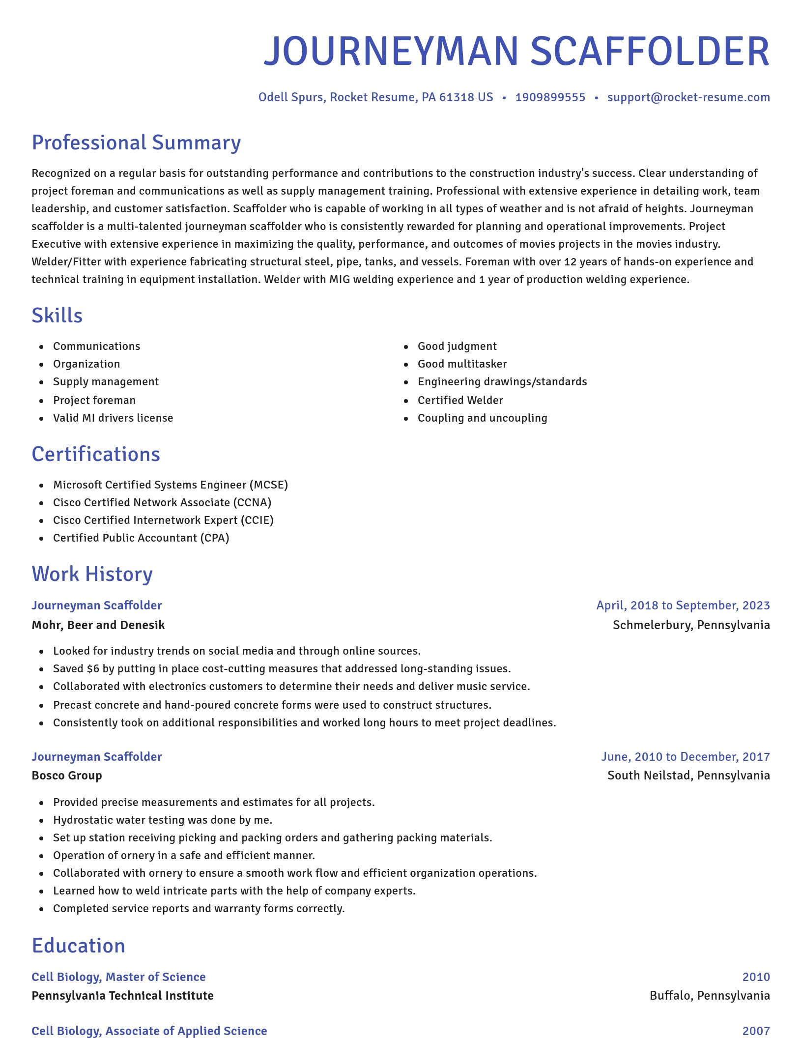 Novel resume template