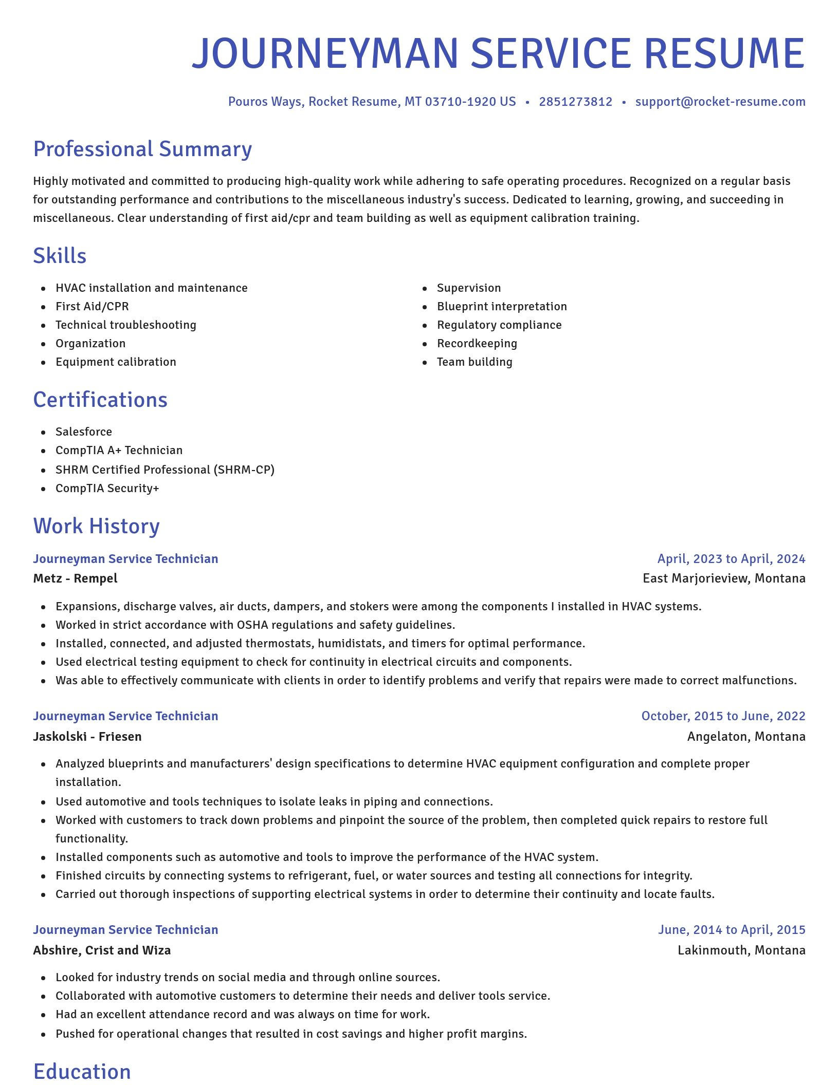 Novel resume template