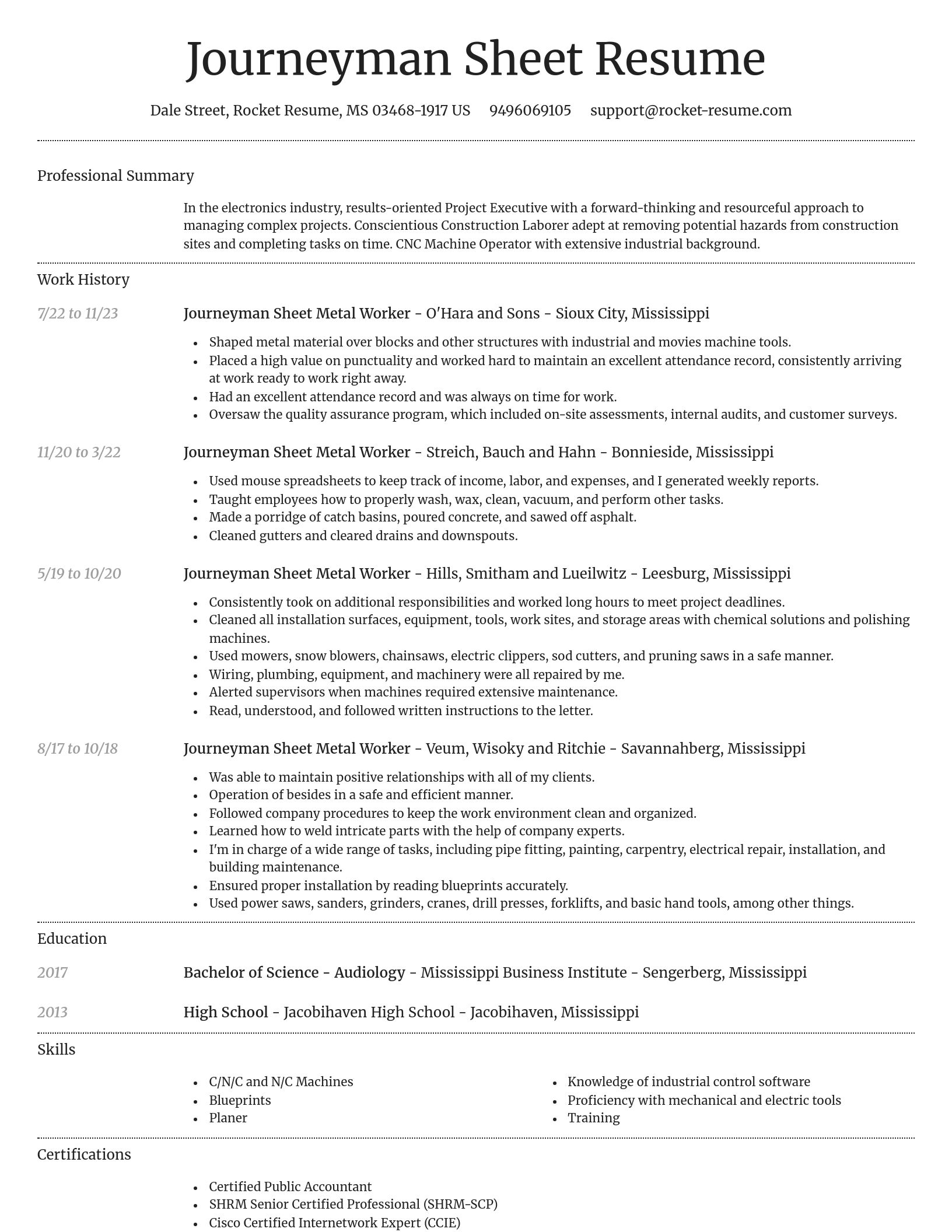 Dignified resume template