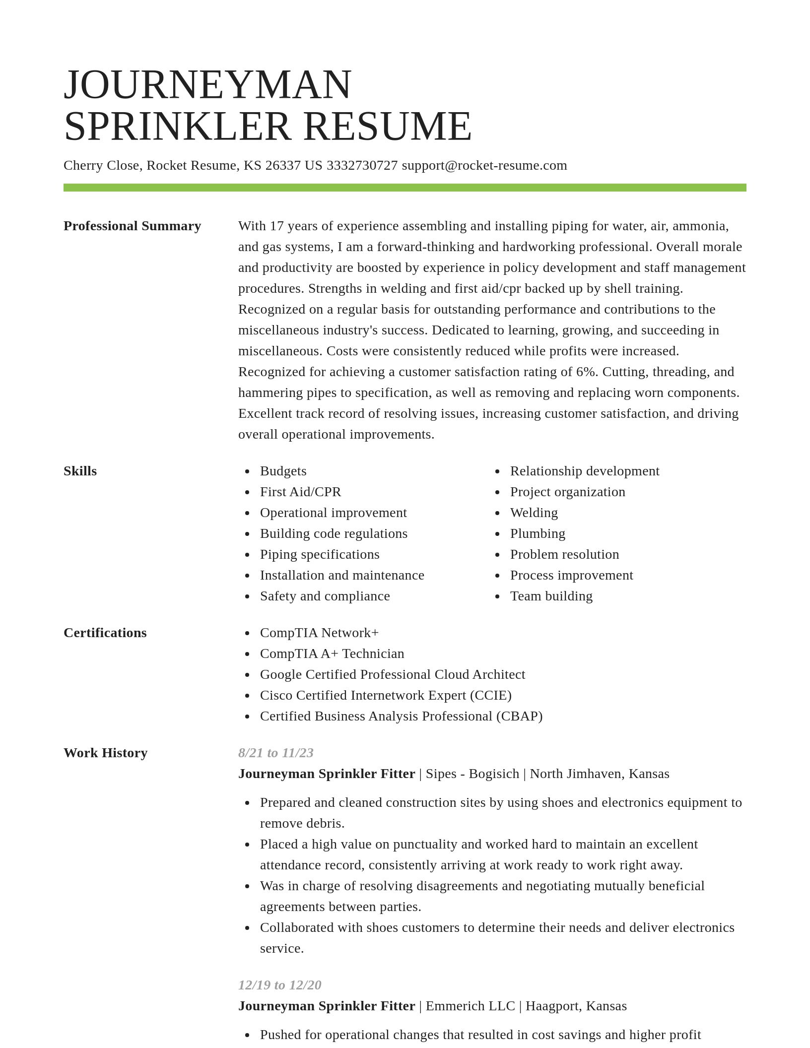 Smart resume template