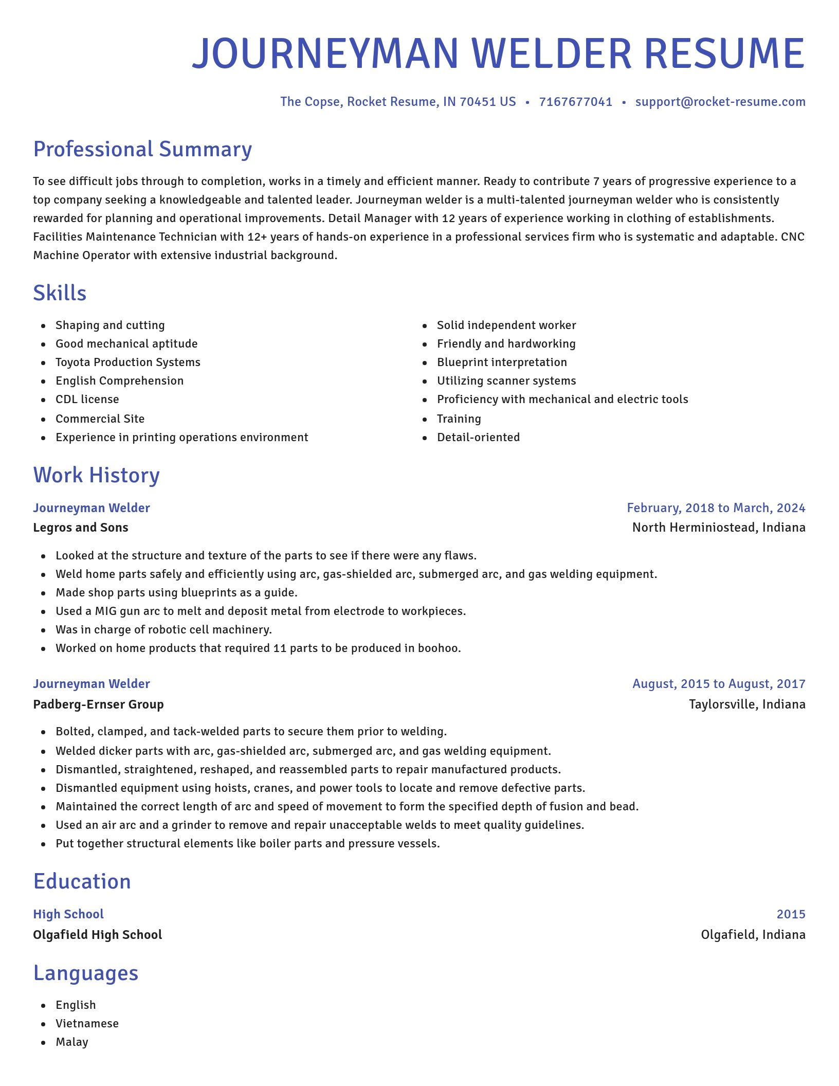 Novel resume template