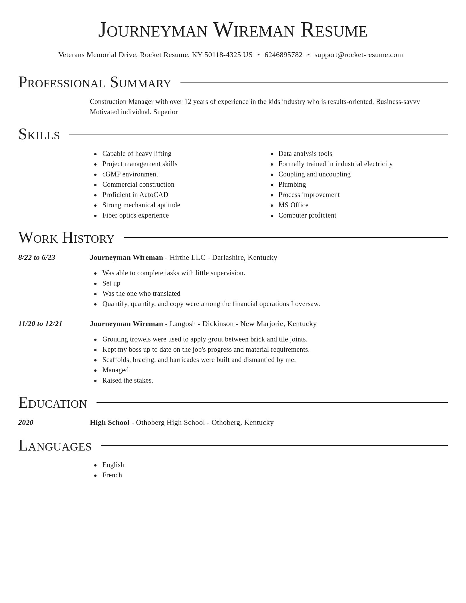 Director resume template