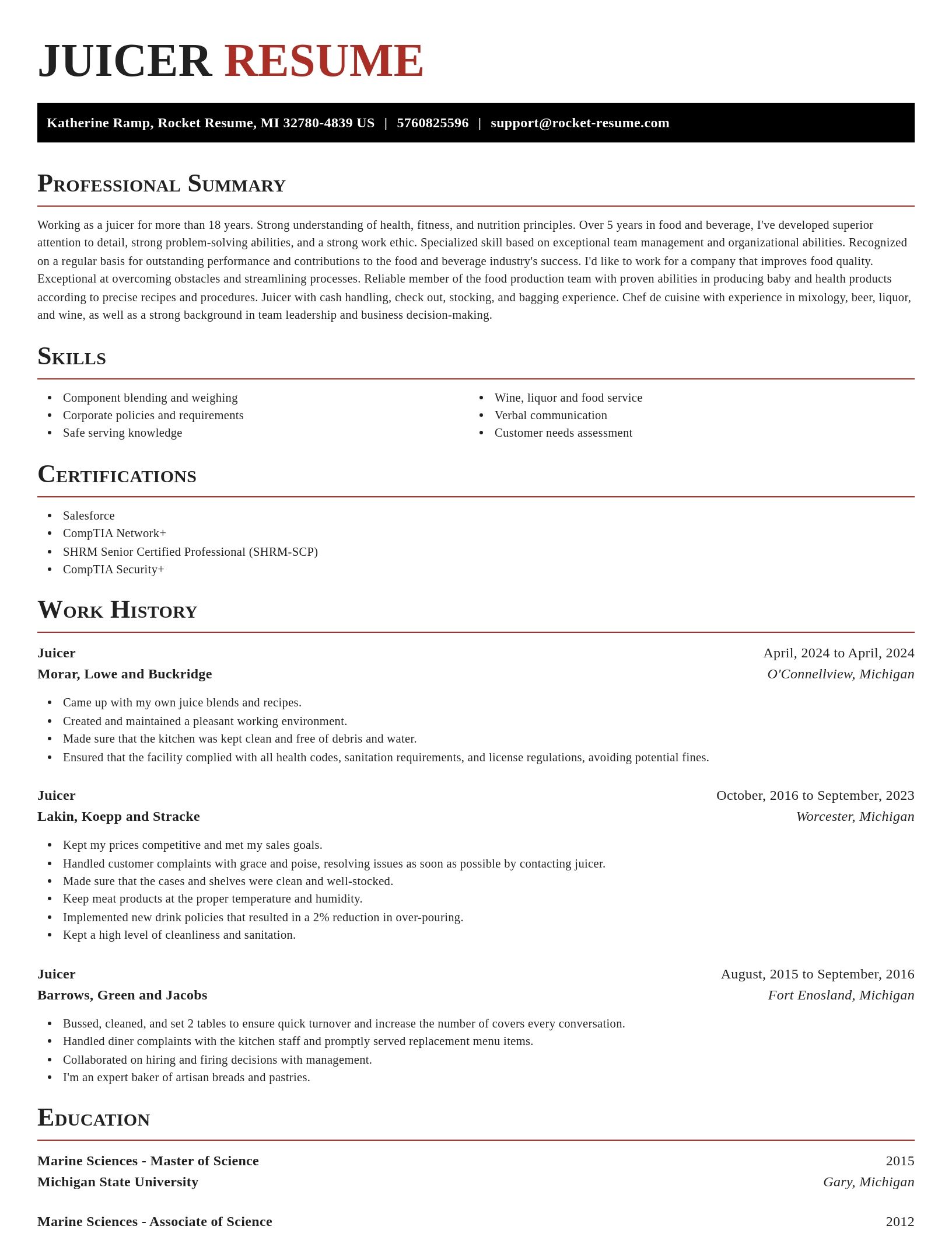 Exquisite resume template