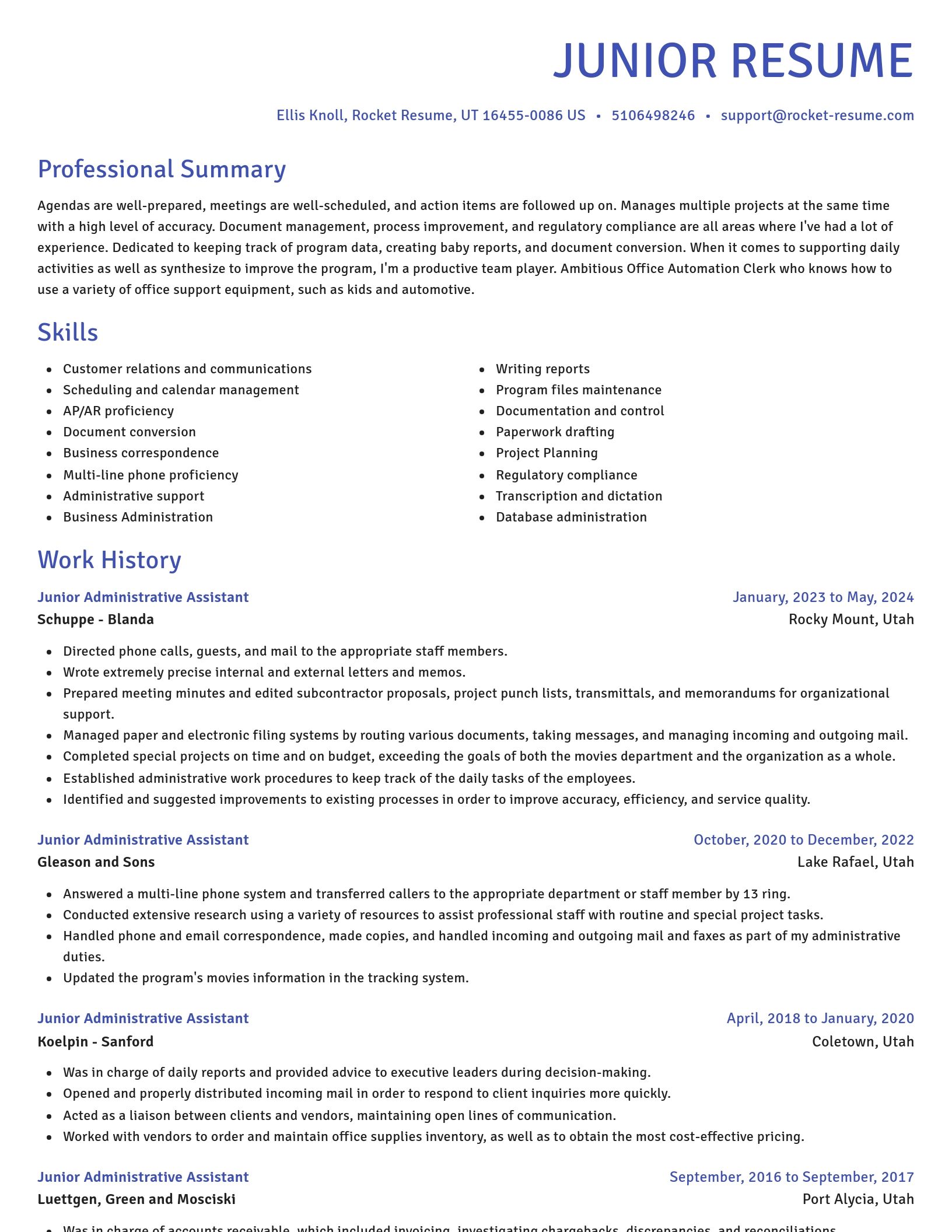 Novel resume template