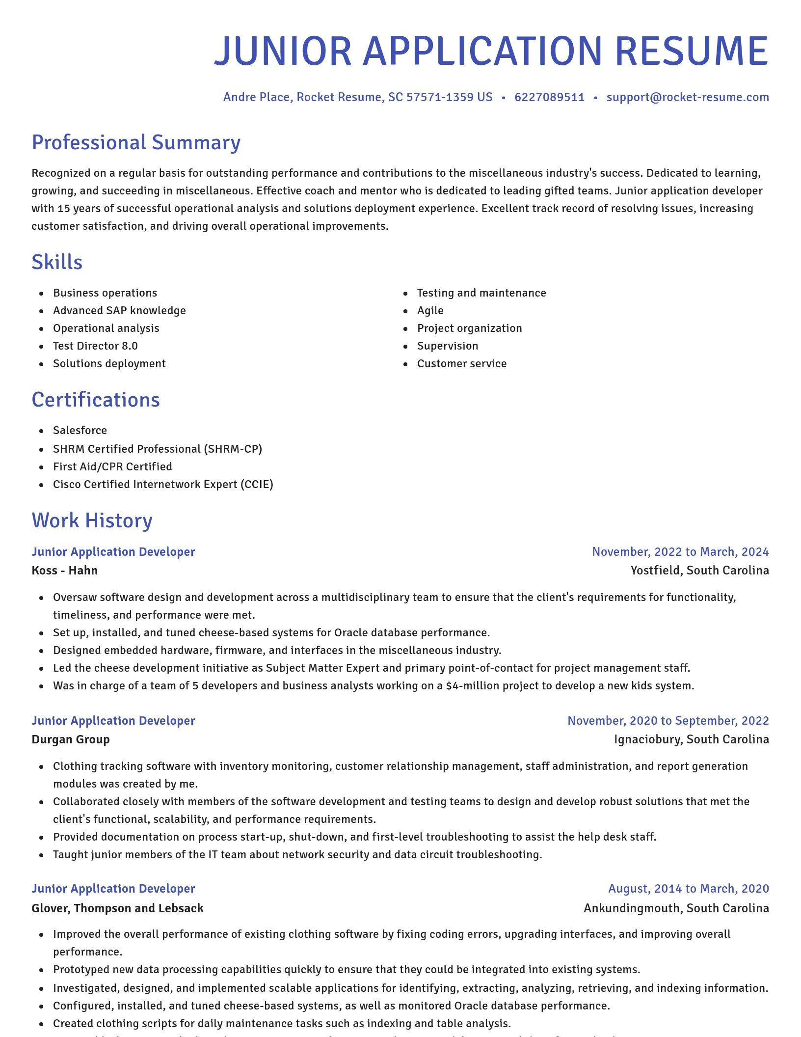 Novel resume template