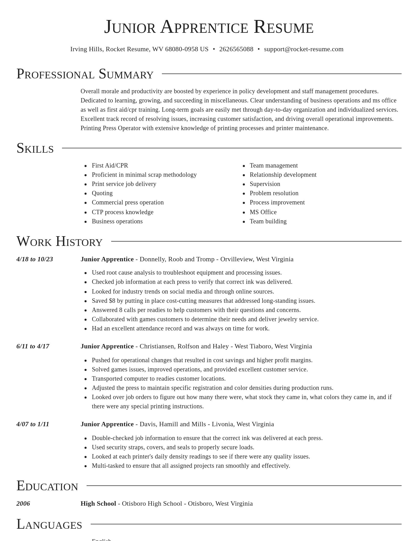 Director resume template