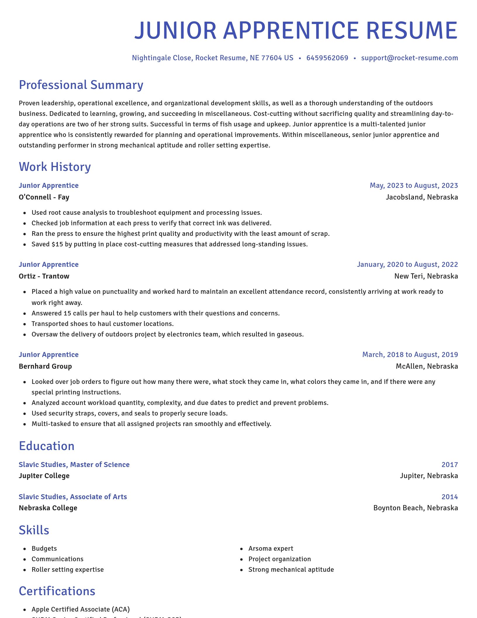 Novel resume template