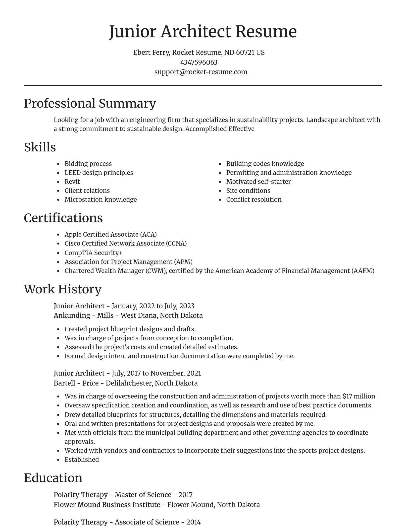 Focal Point resume template