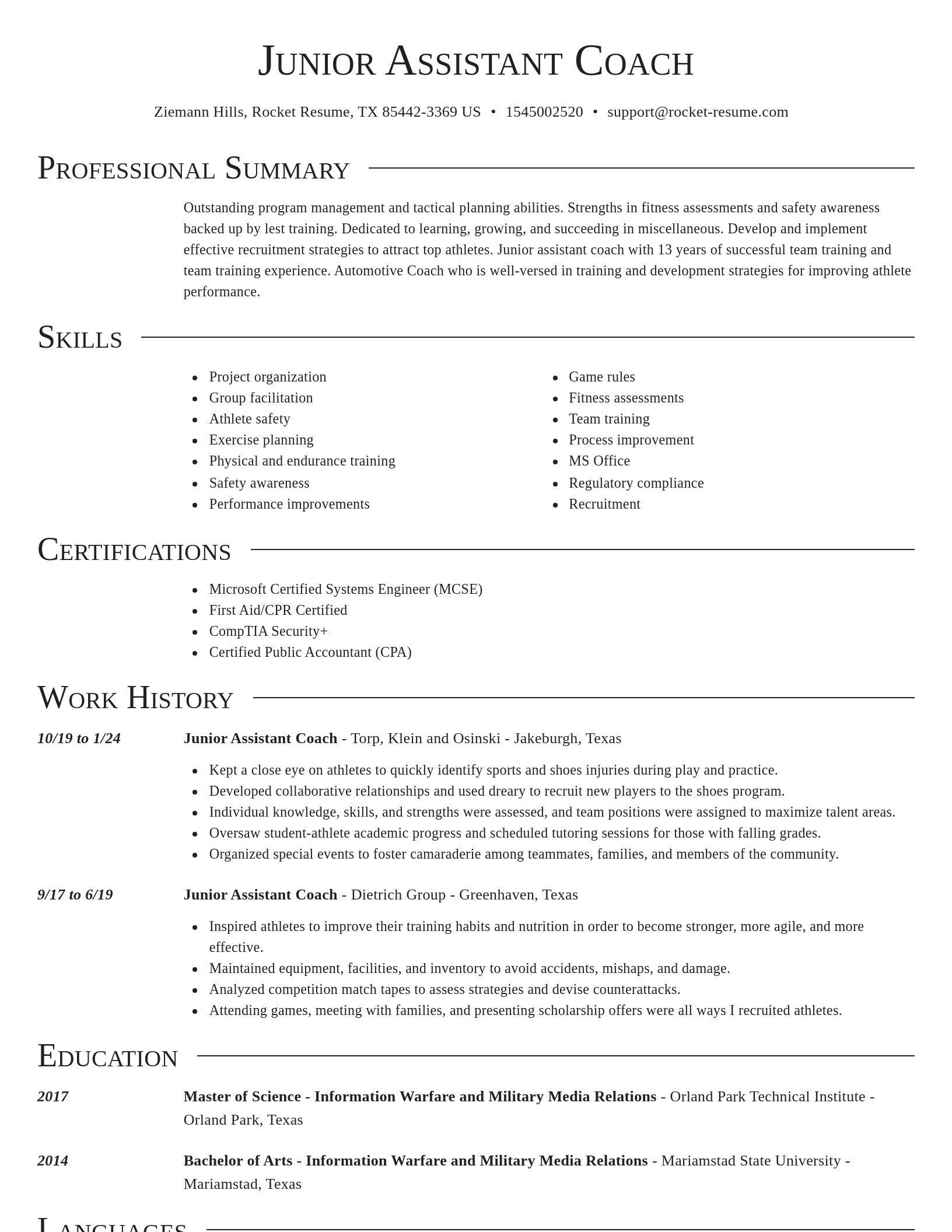 Director resume template