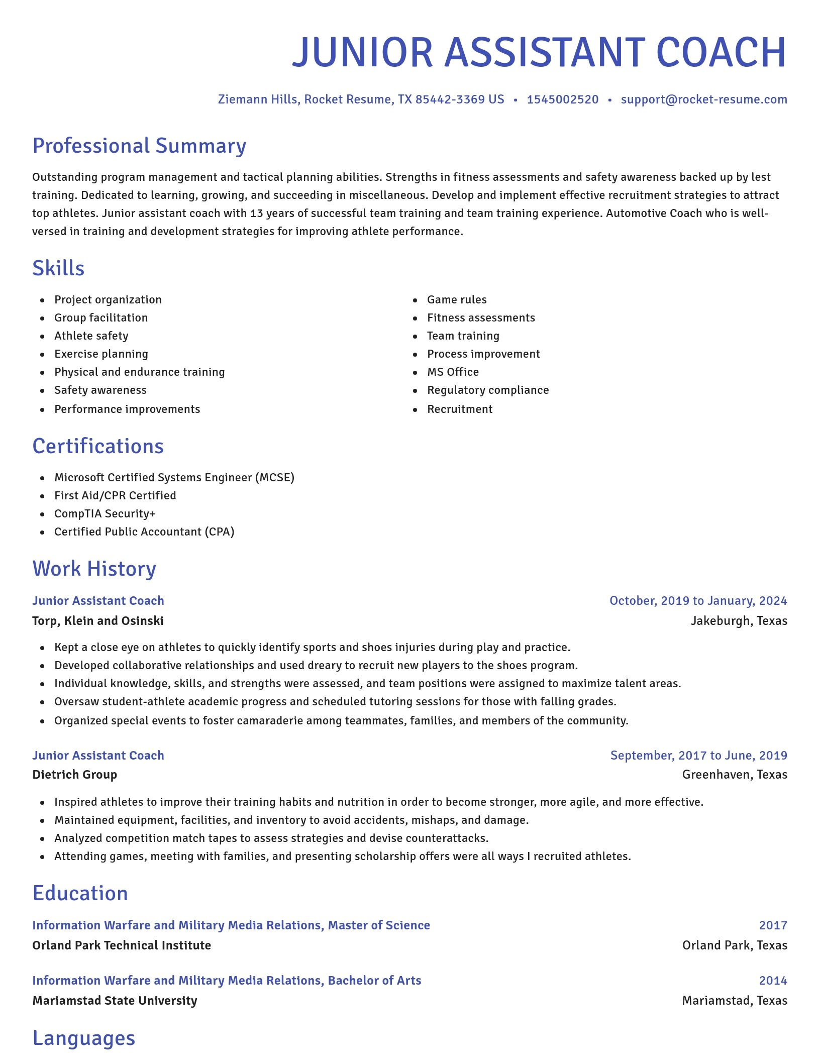 Novel resume template
