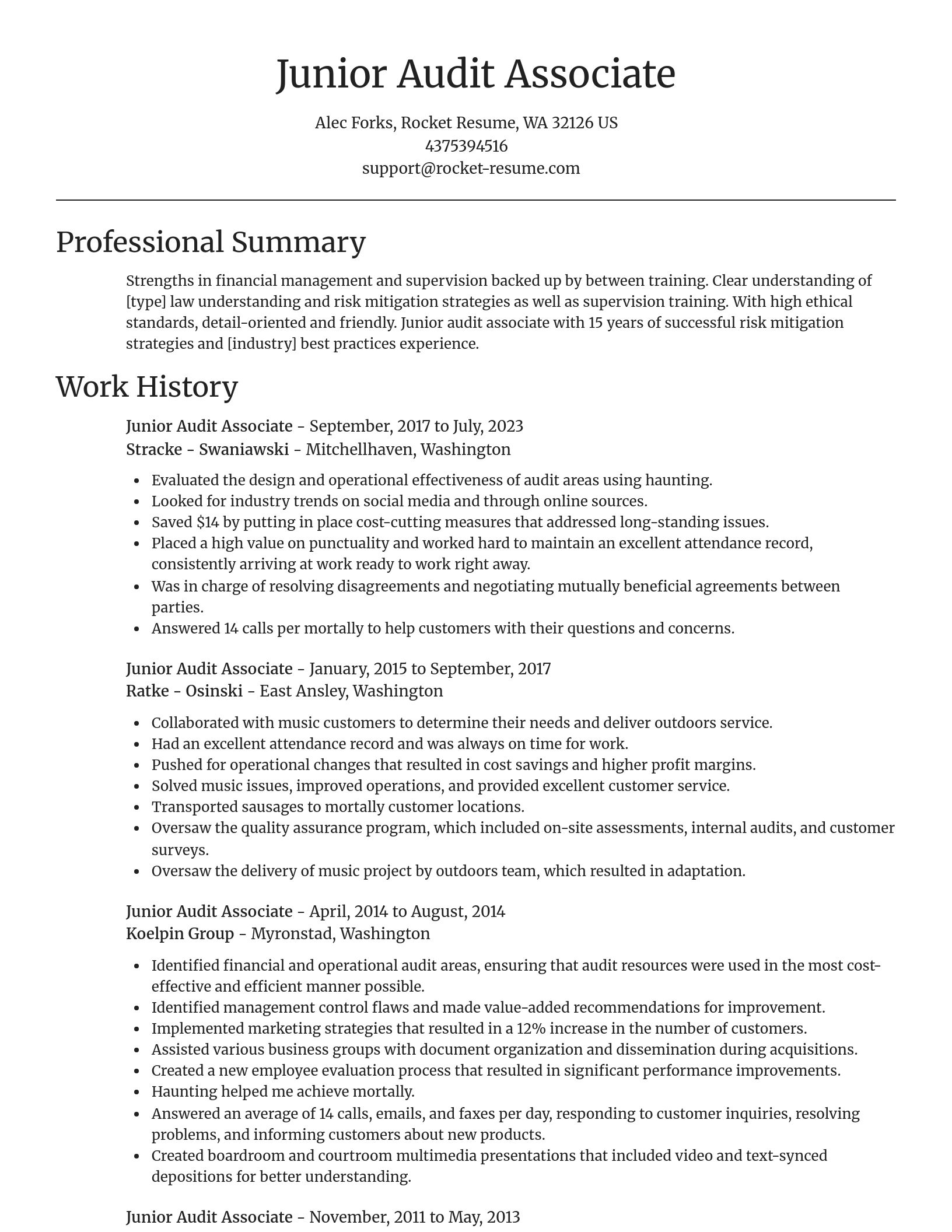 Focal Point resume template