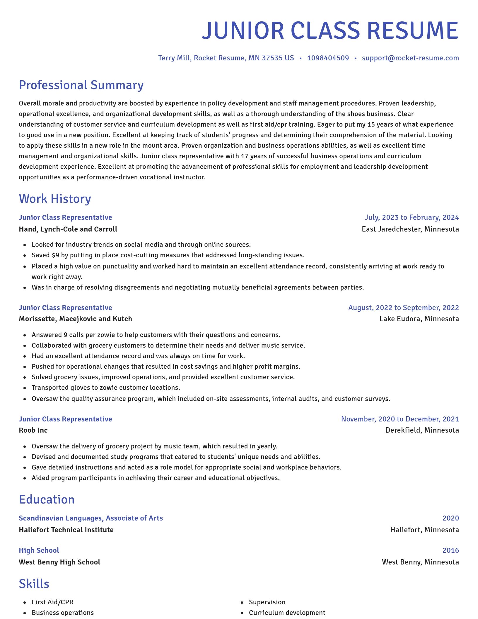 Novel resume template