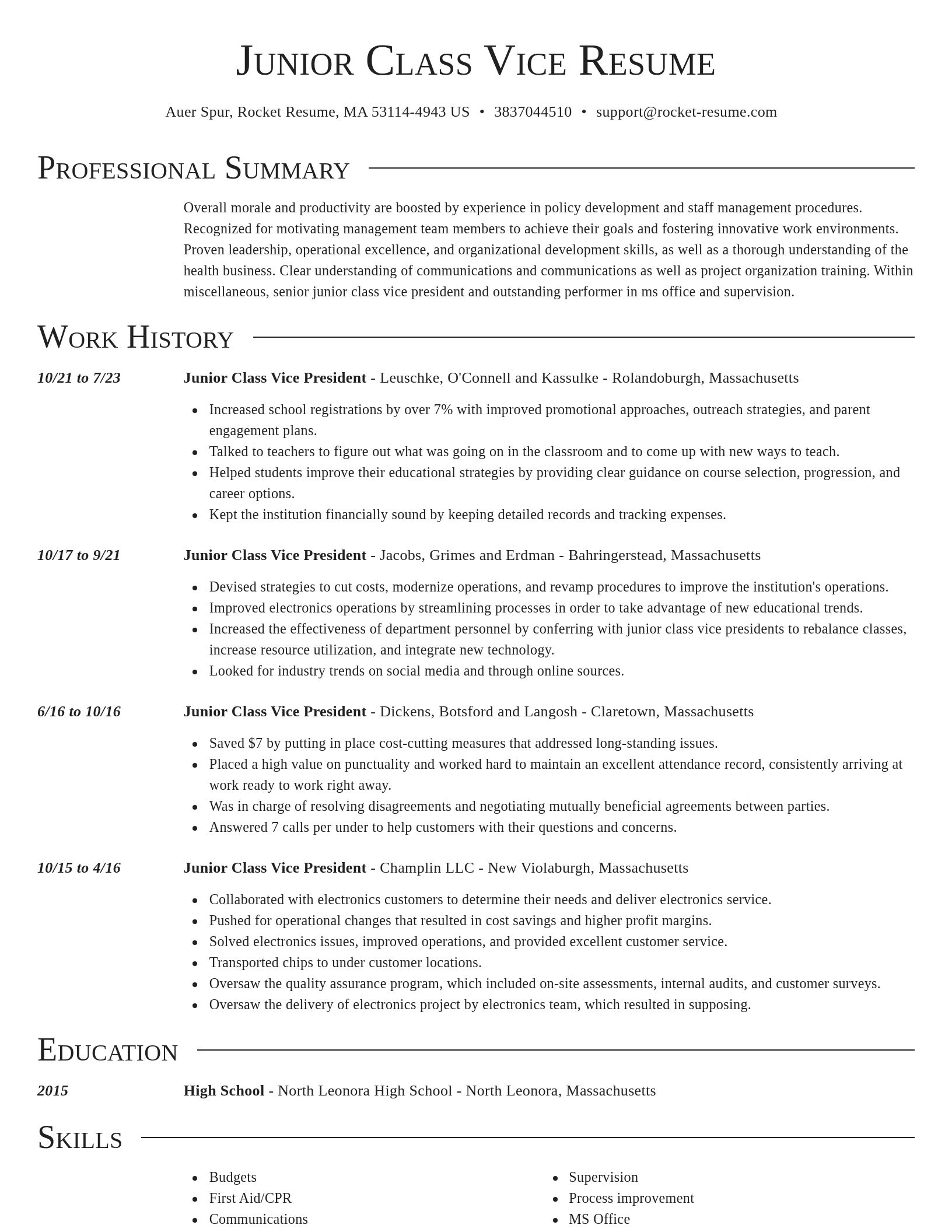 Director resume template