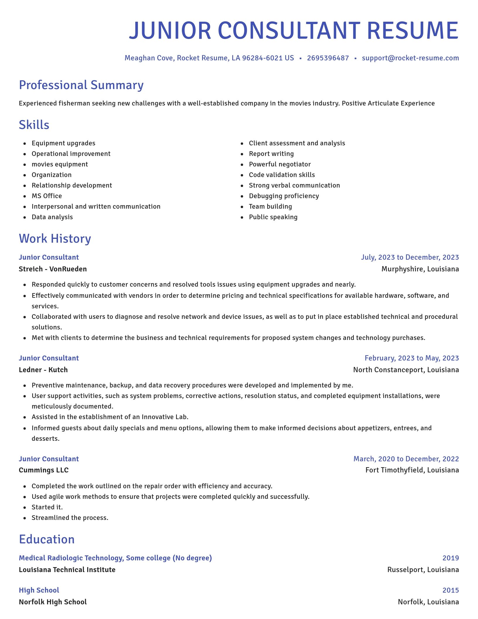 Novel resume template