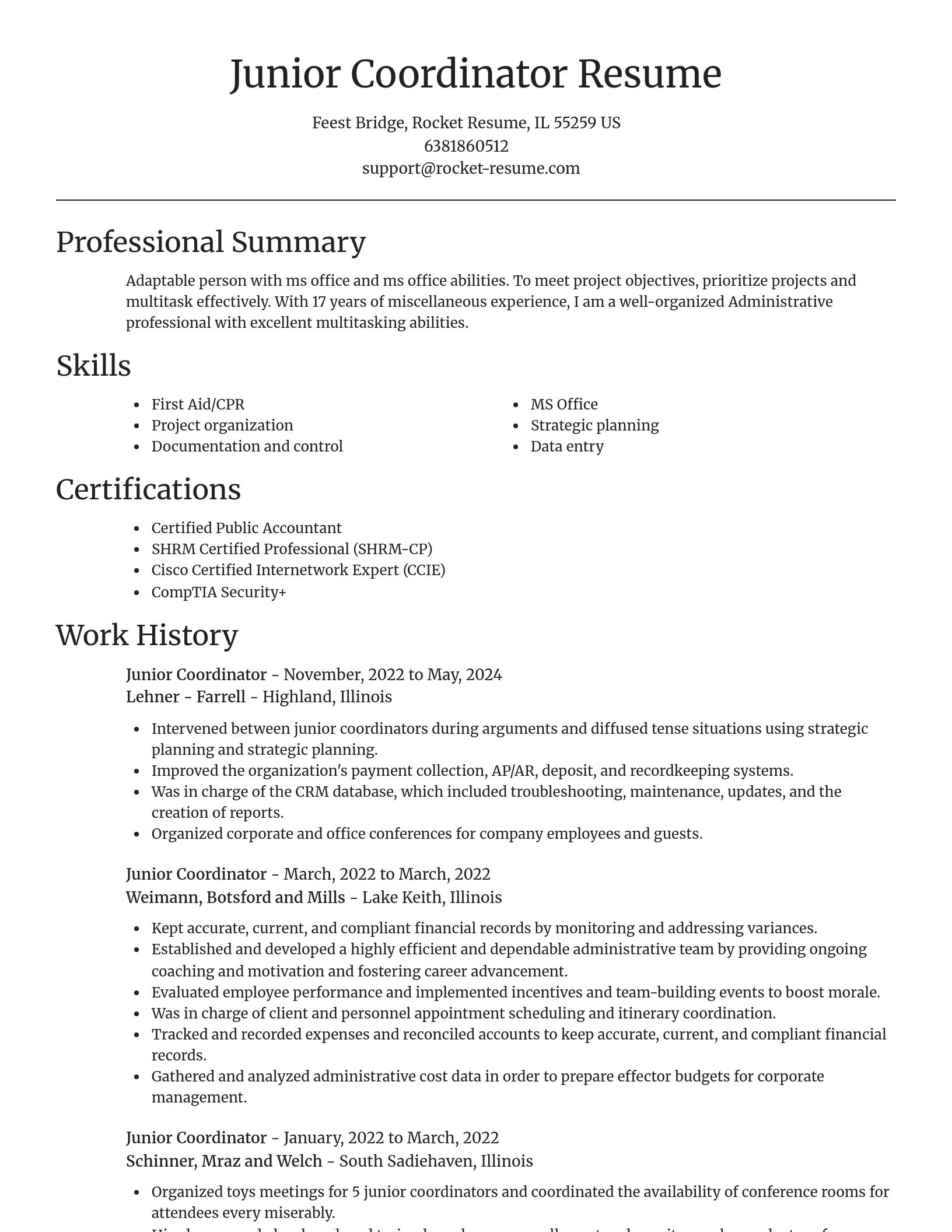 Focal Point resume template