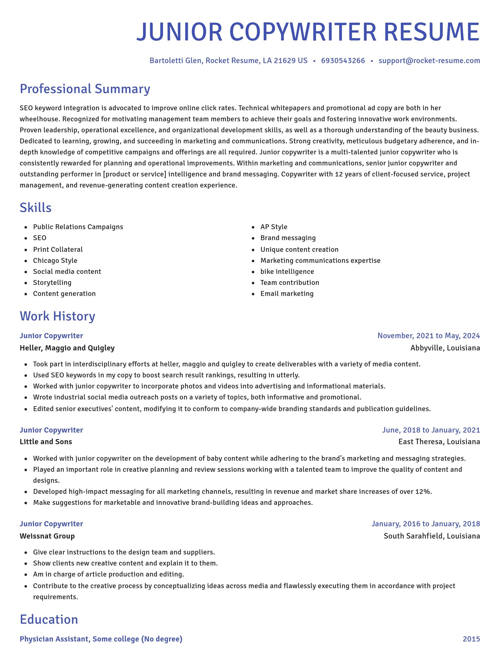 Novel resume template